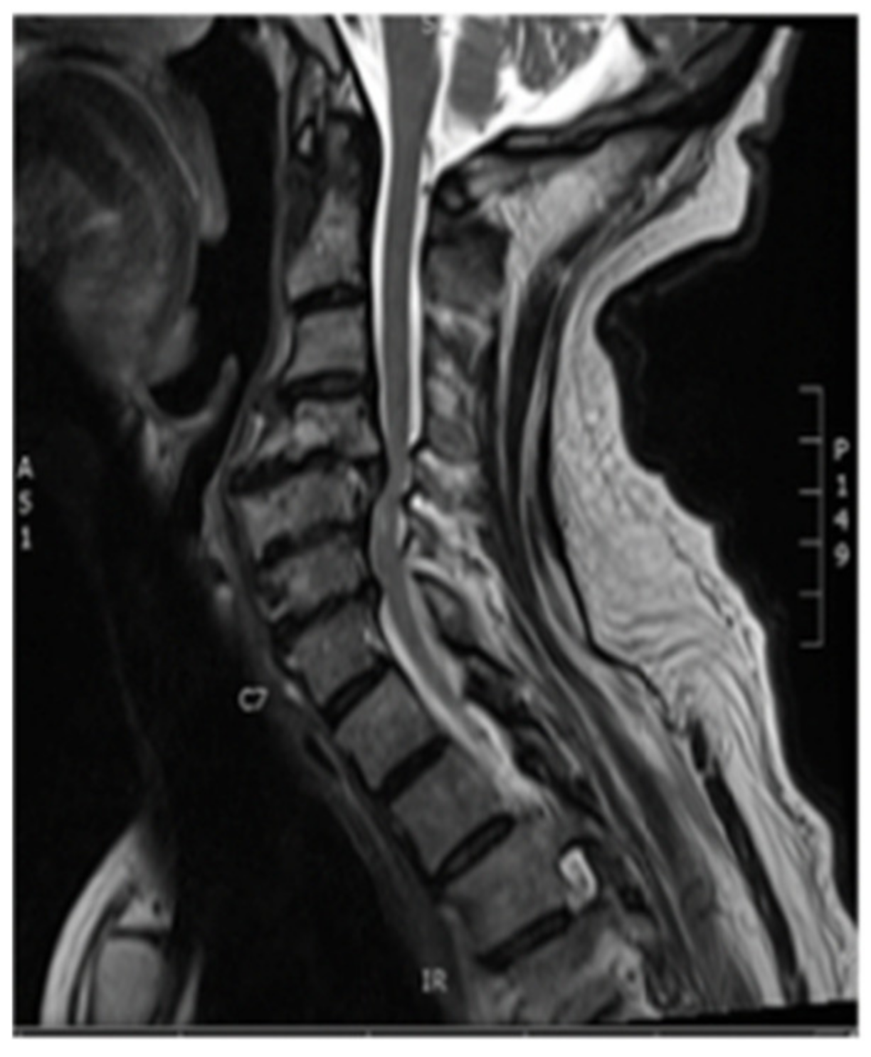 Brainsci 09 00345 g001