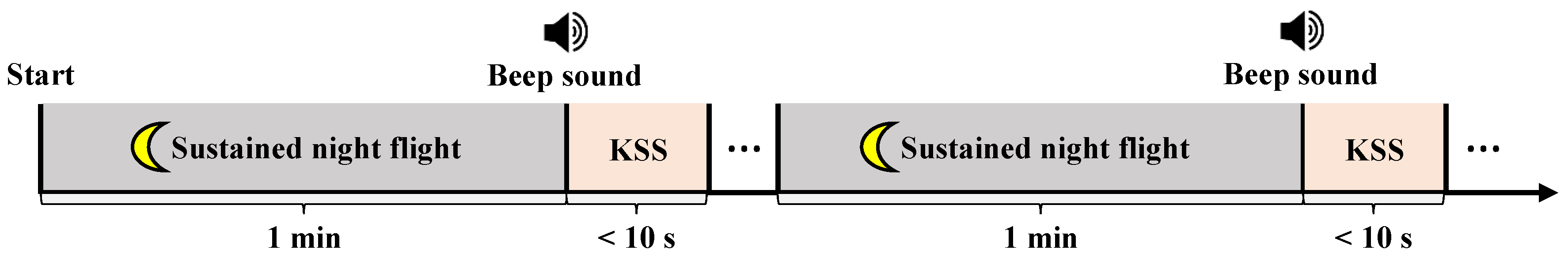 Brainsci 09 00348 g002