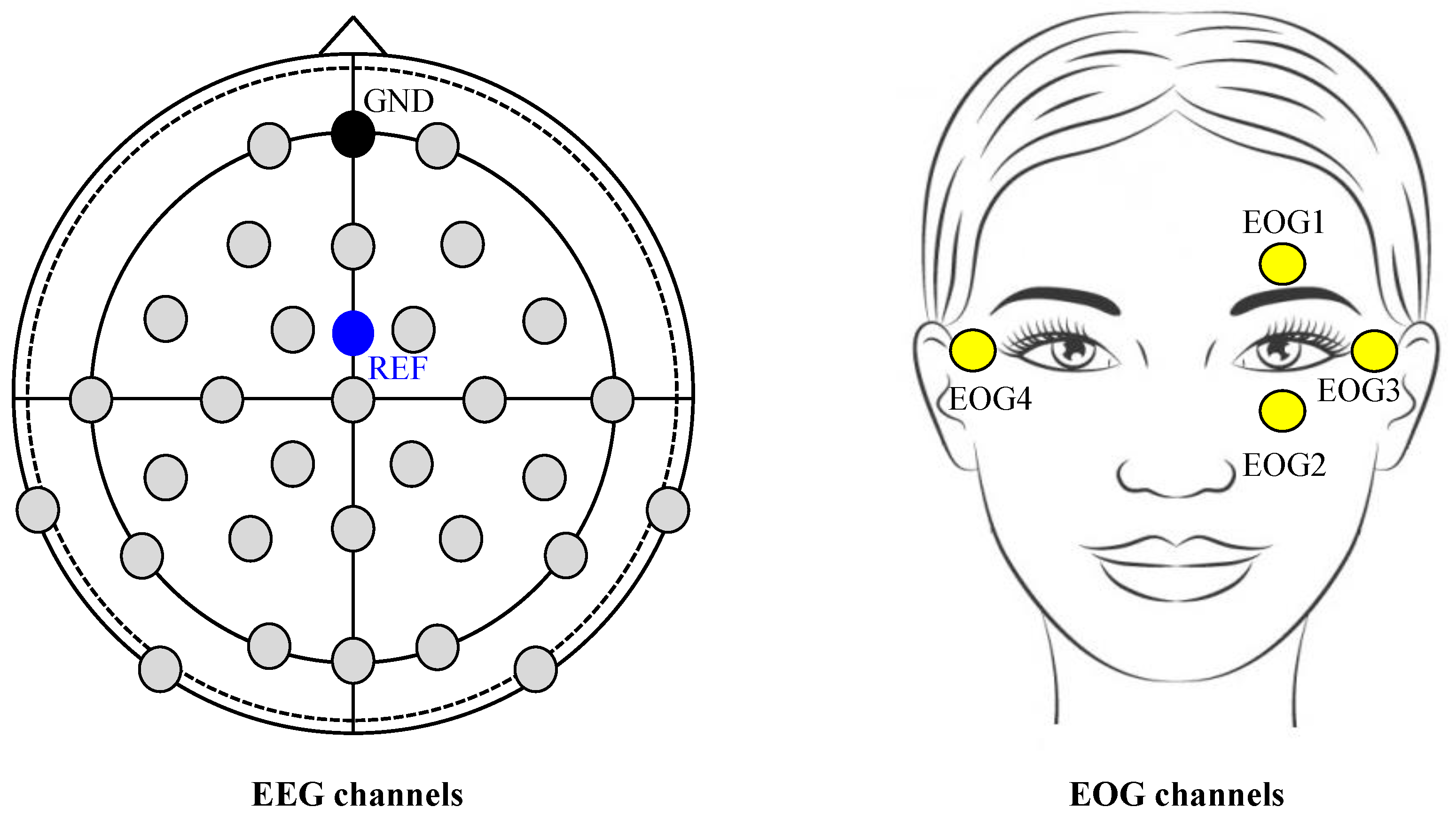 Brainsci 09 00348 g003