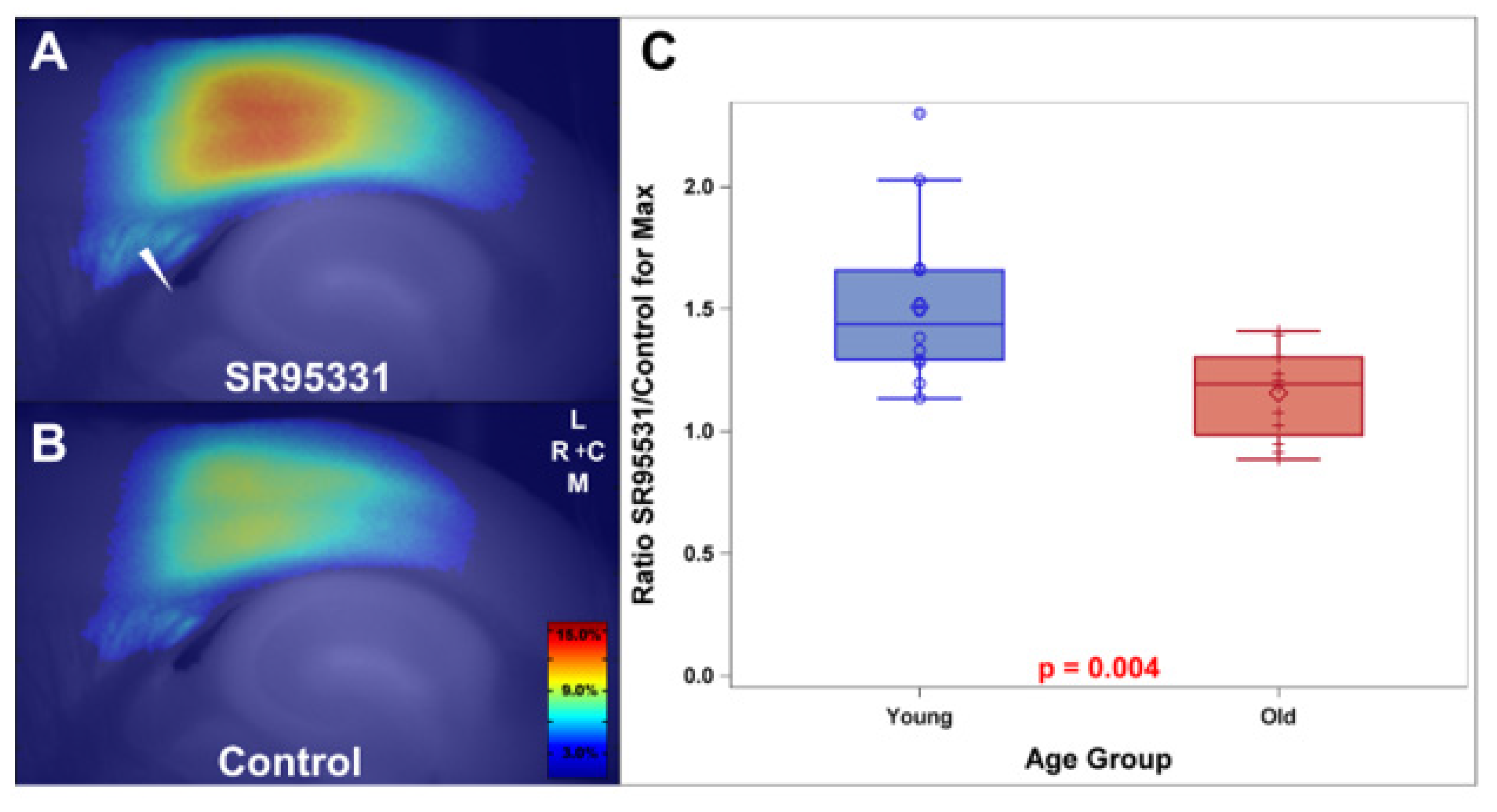 Brainsci 09 00351 g002