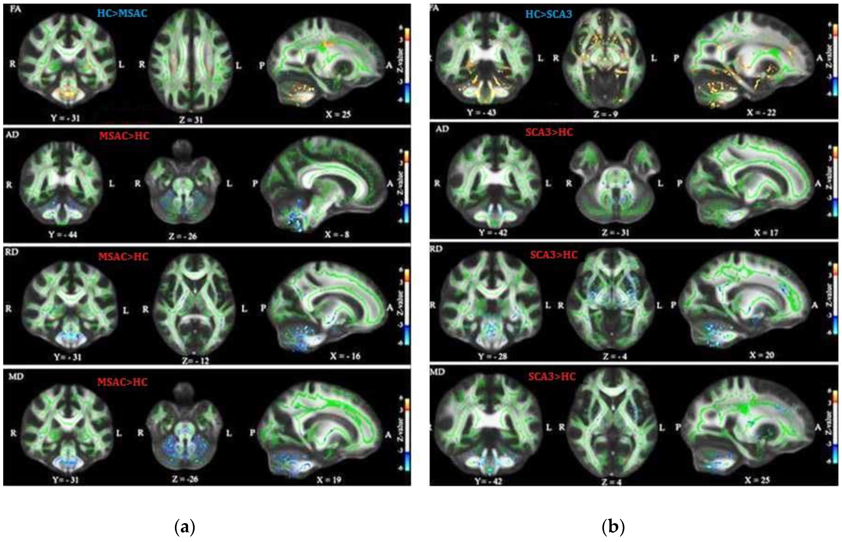 Brainsci 09 00354 g004