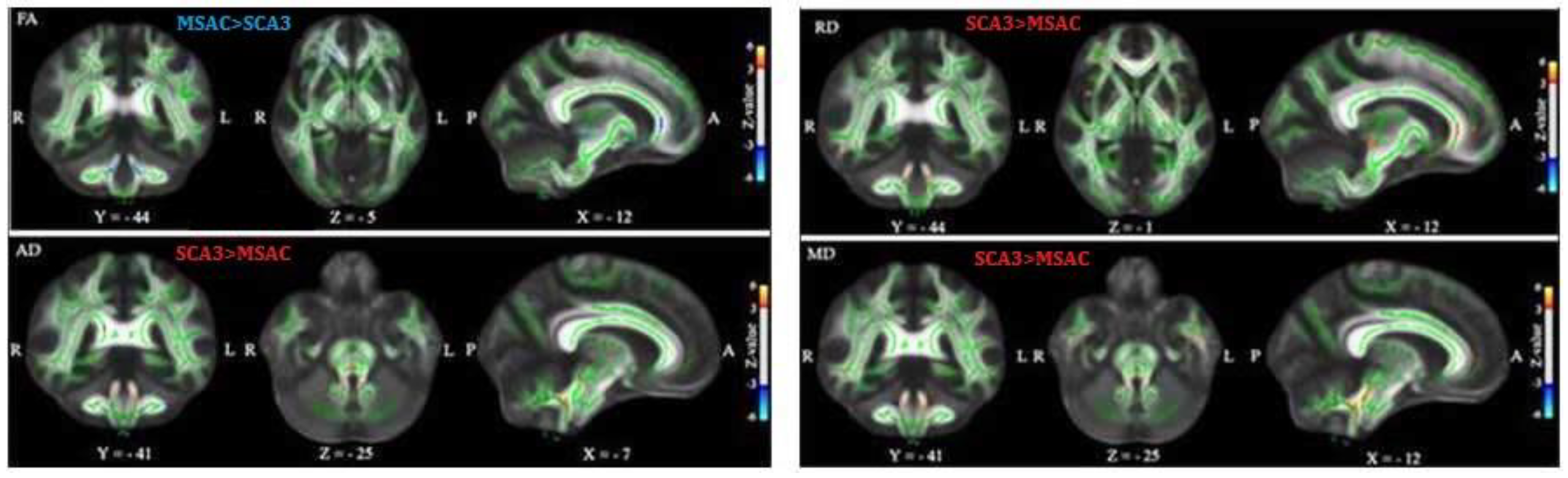 Brainsci 09 00354 g005
