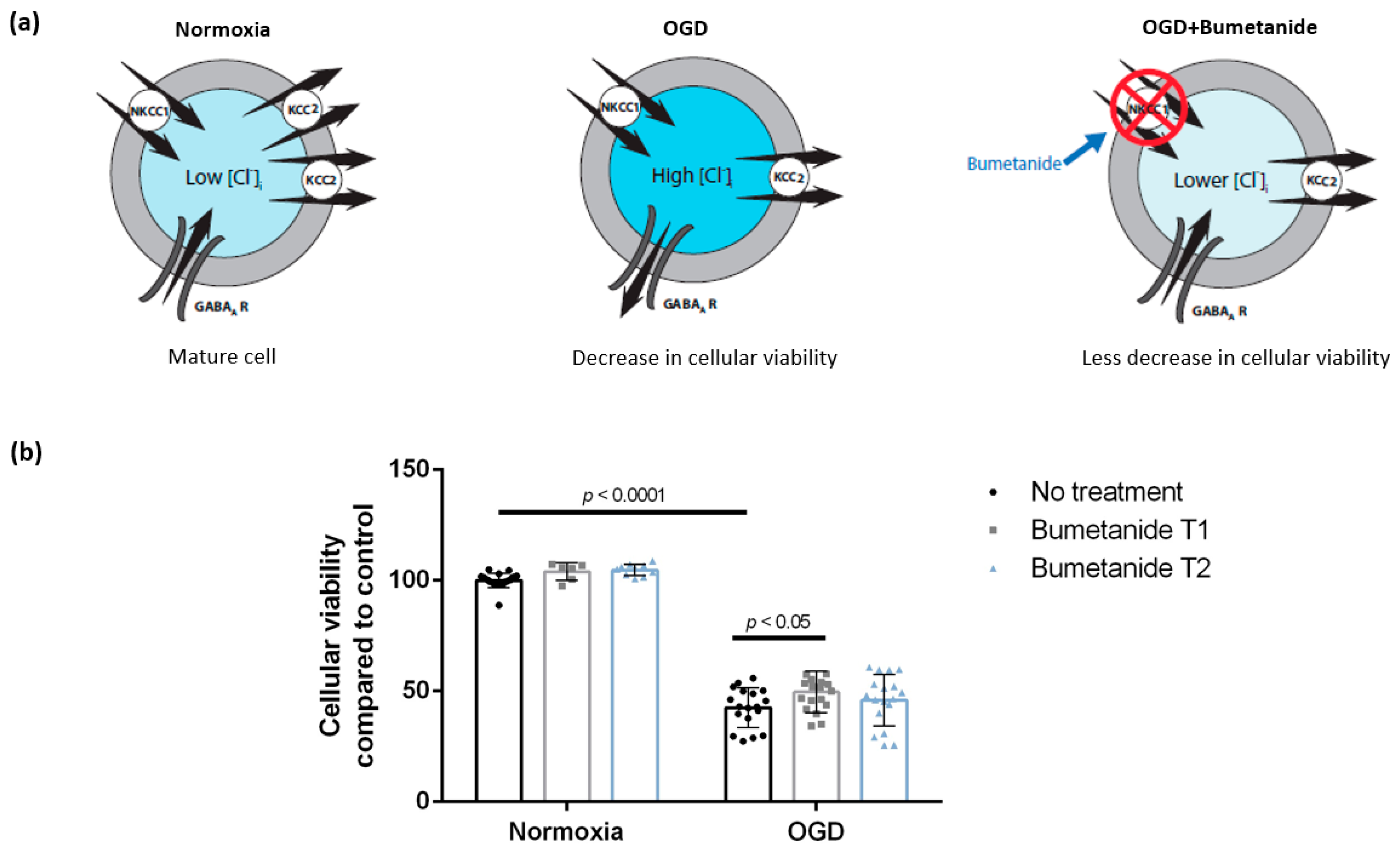 Brainsci 09 00360 g003
