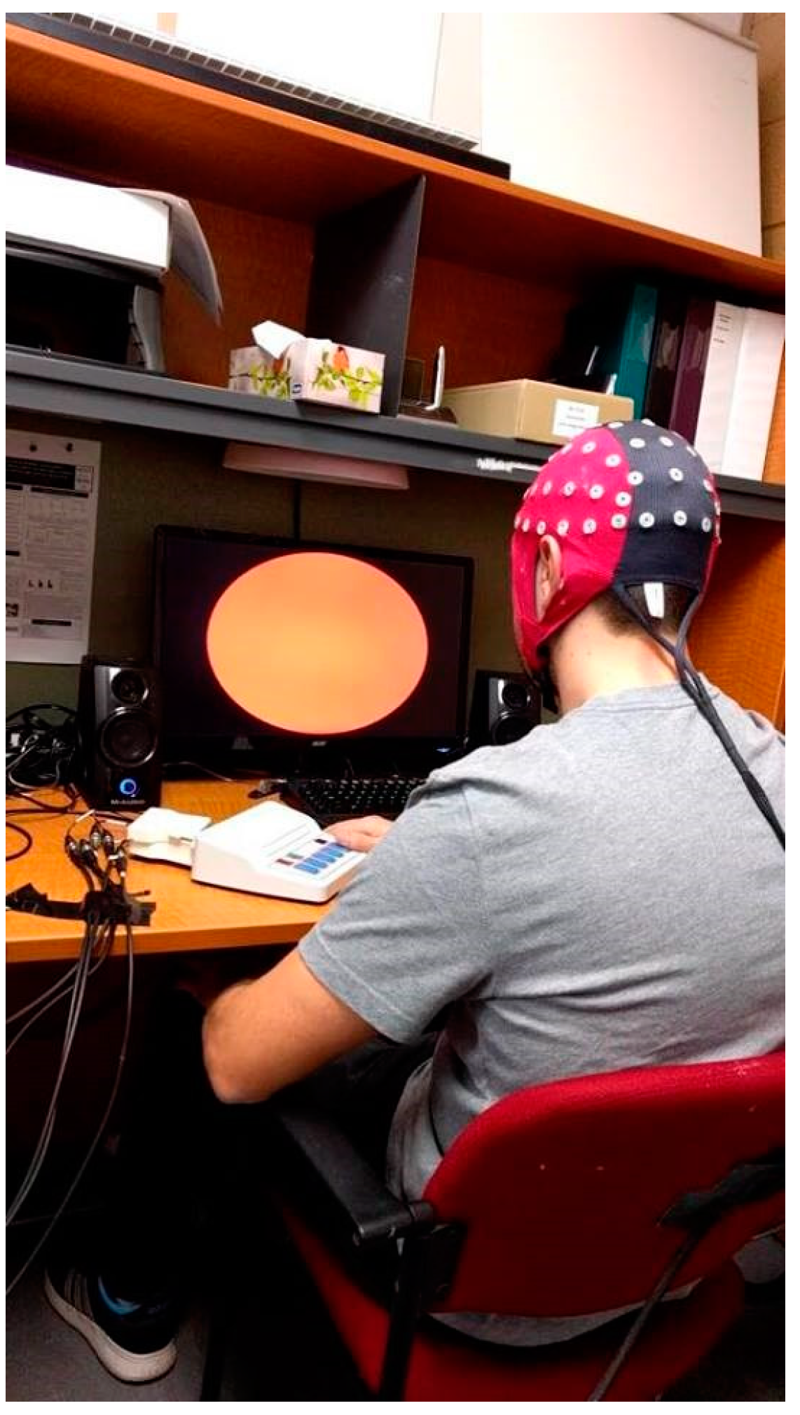 Brainsci 09 00362 g001