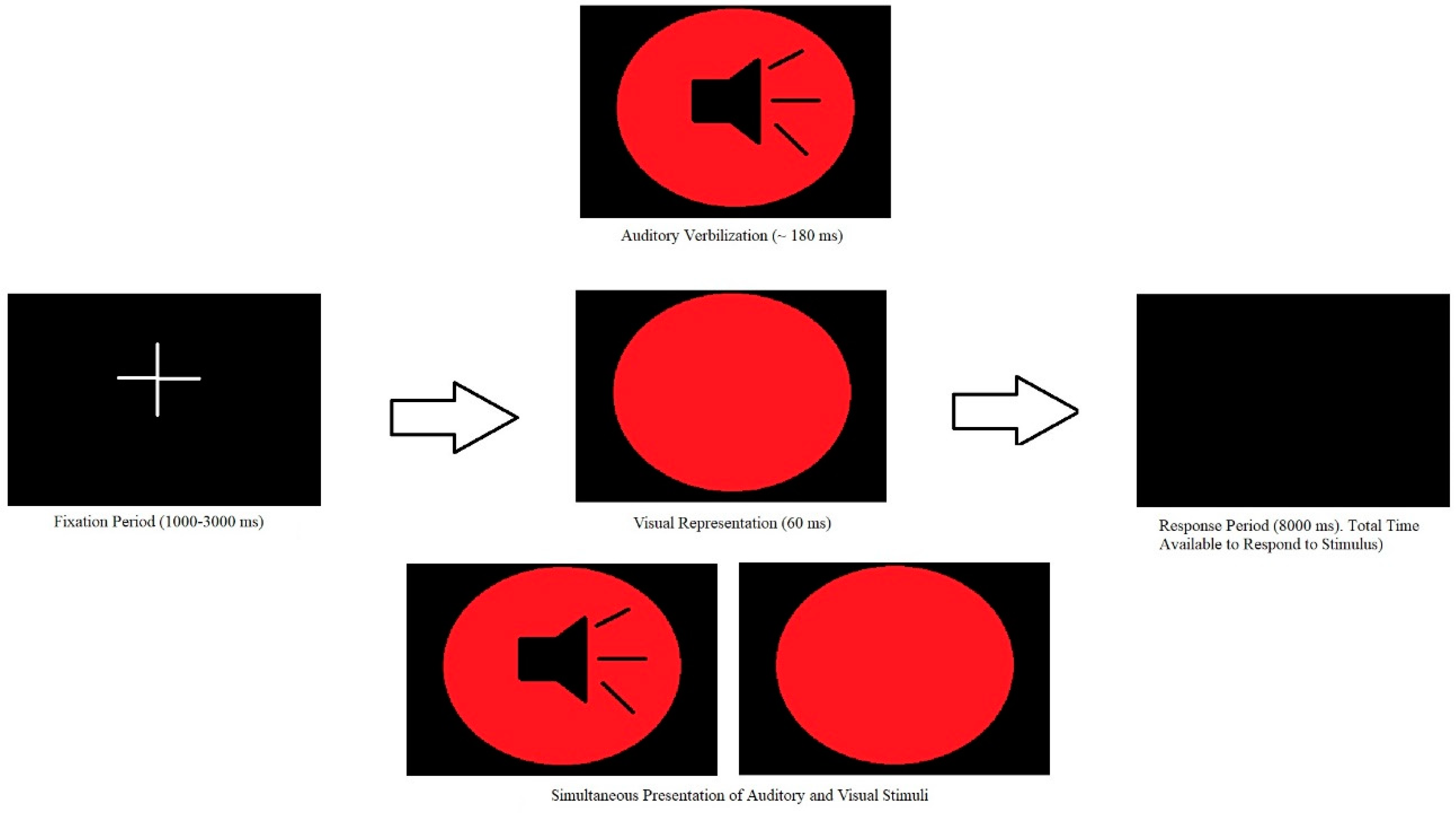 Brainsci 09 00362 g002