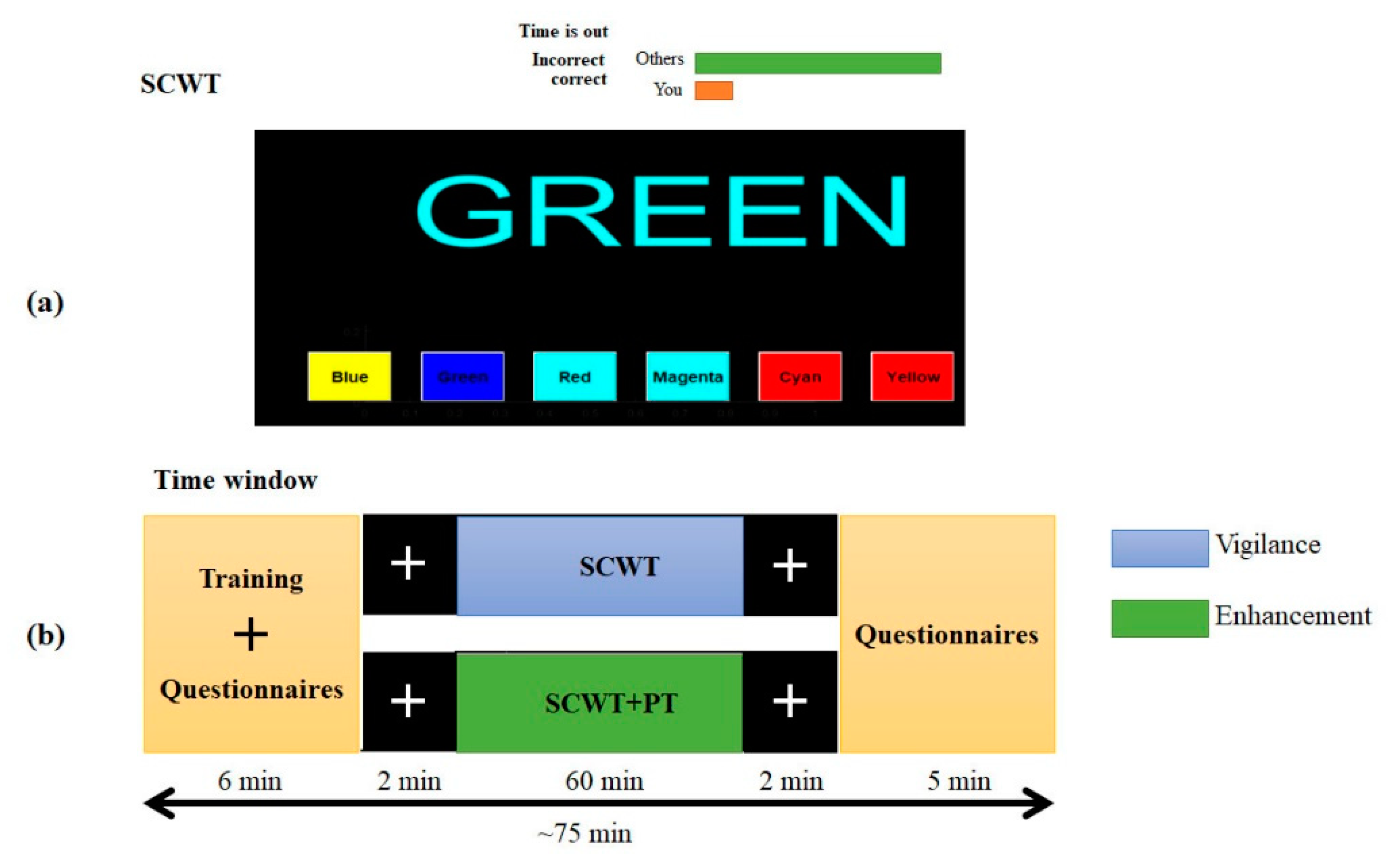 Brainsci 09 00363 g001