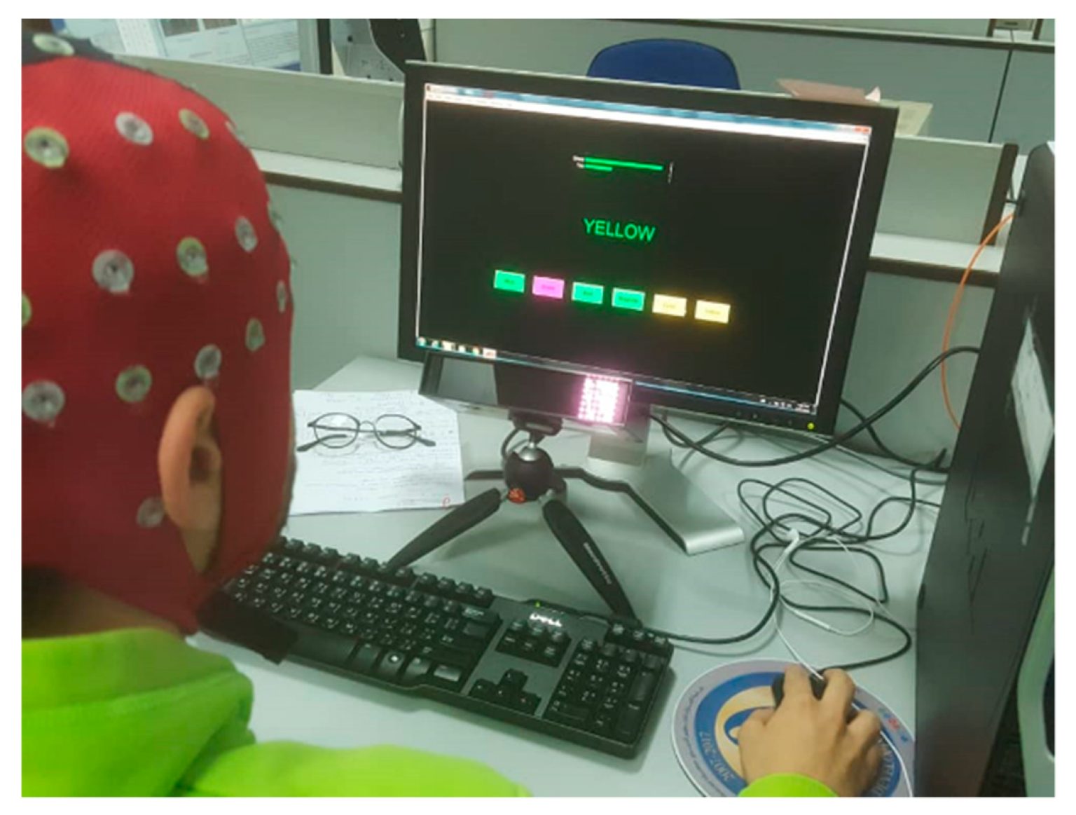 Brainsci 09 00363 g002