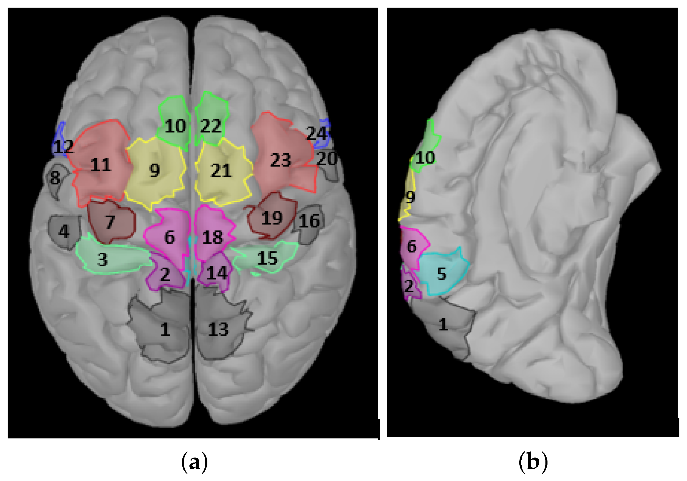 Brainsci 09 00372 g003