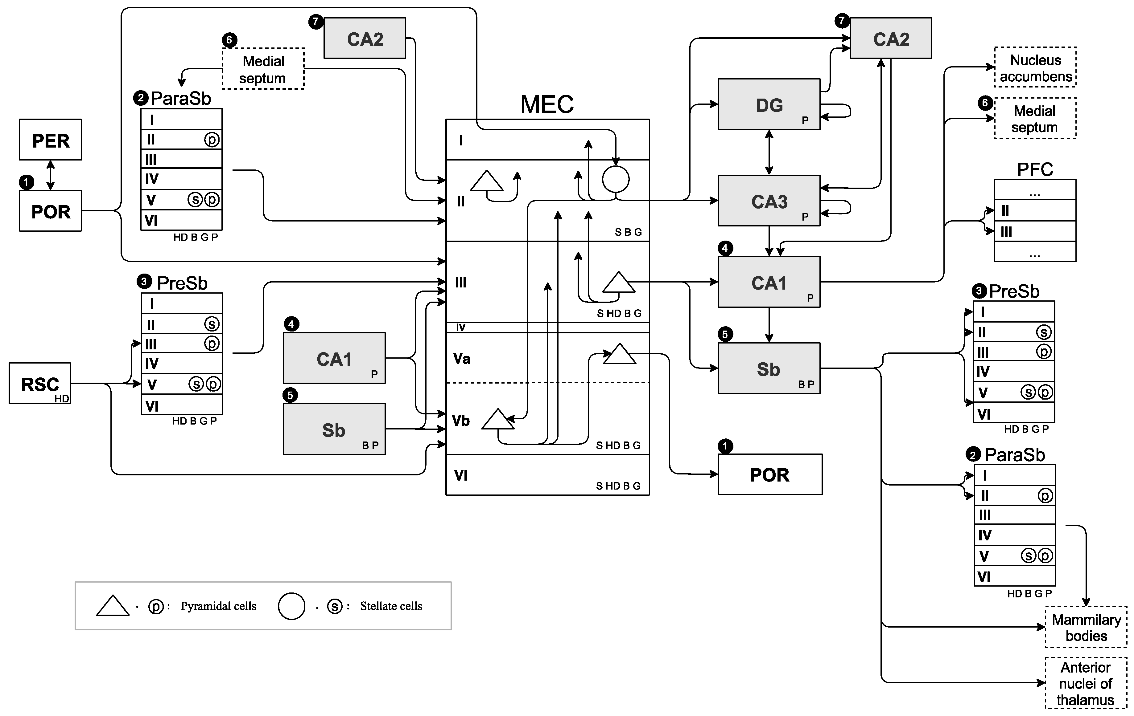 Brainsci 10 00028 g001