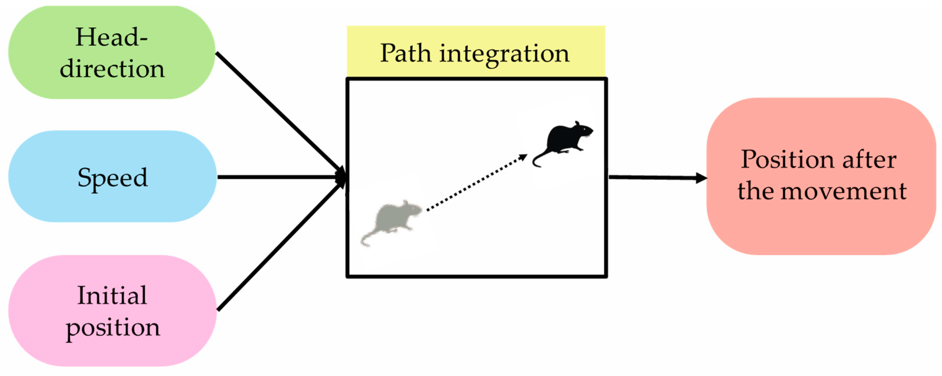 Brainsci 10 00028 g002