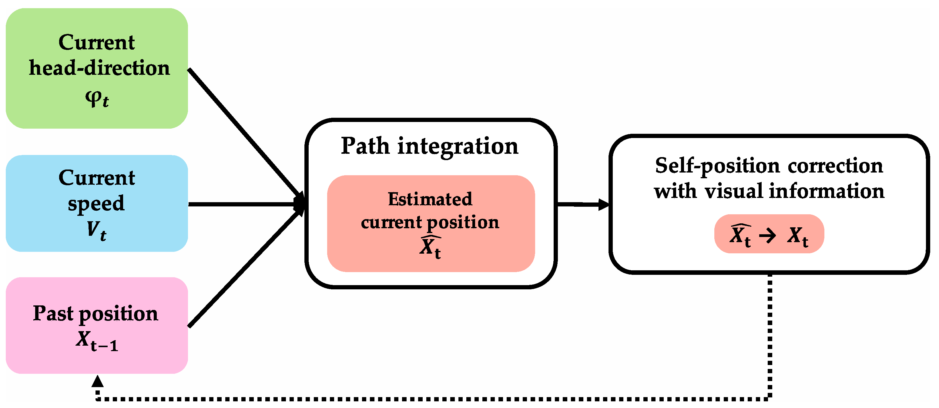 Brainsci 10 00028 g006