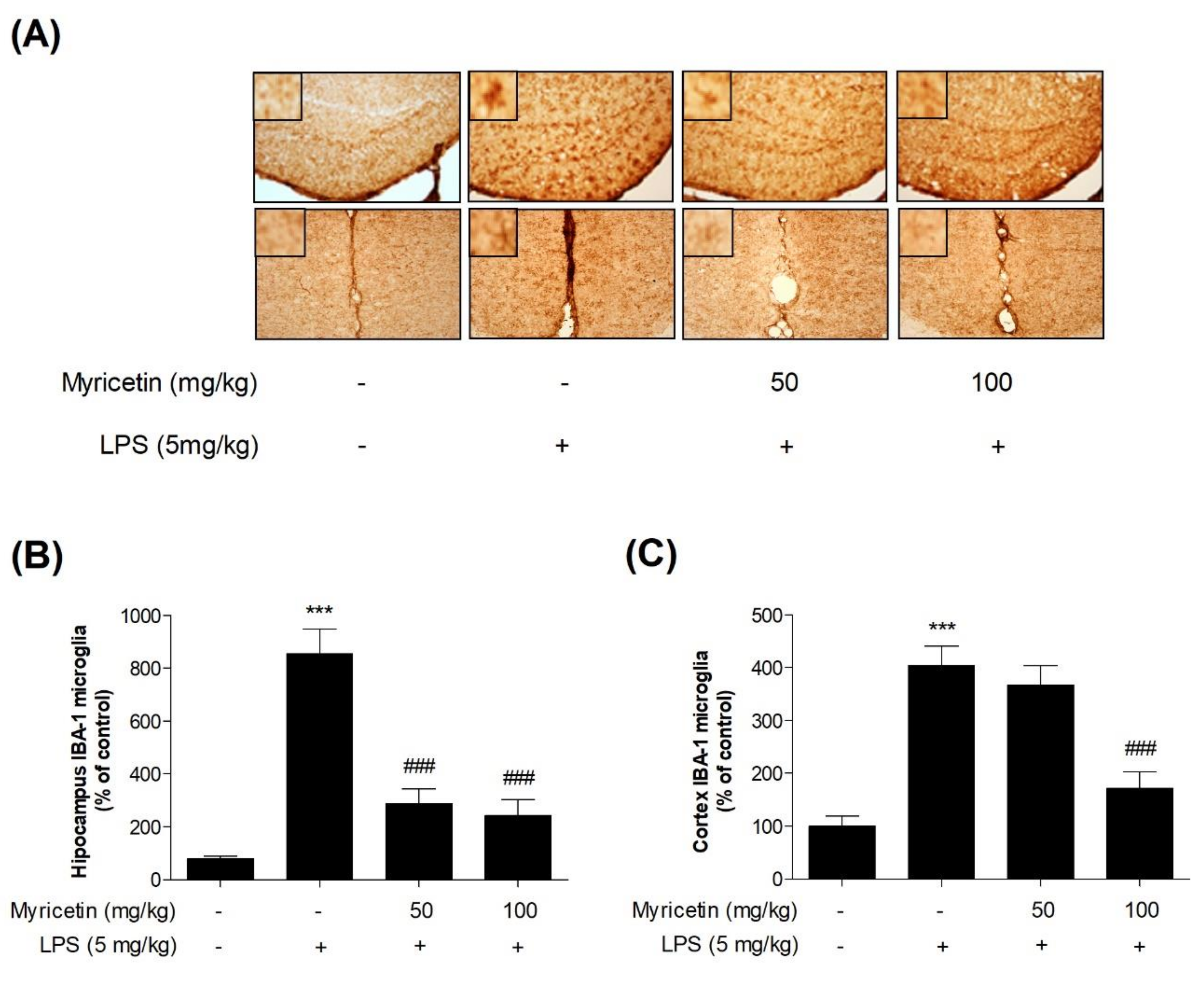 Brainsci 10 00032 g006 Brainsci 10 00032 g006