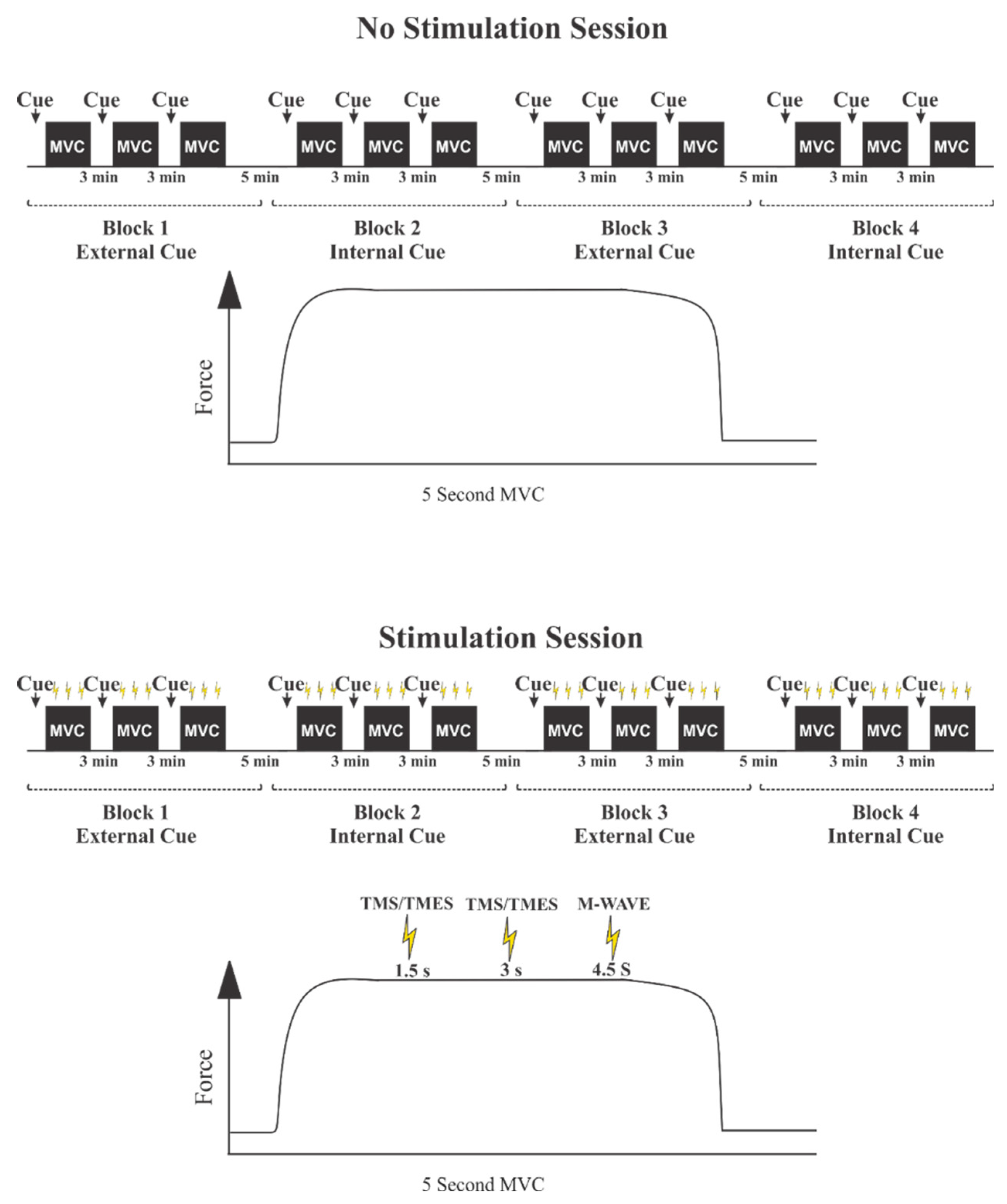 Brainsci 10 00033 g002