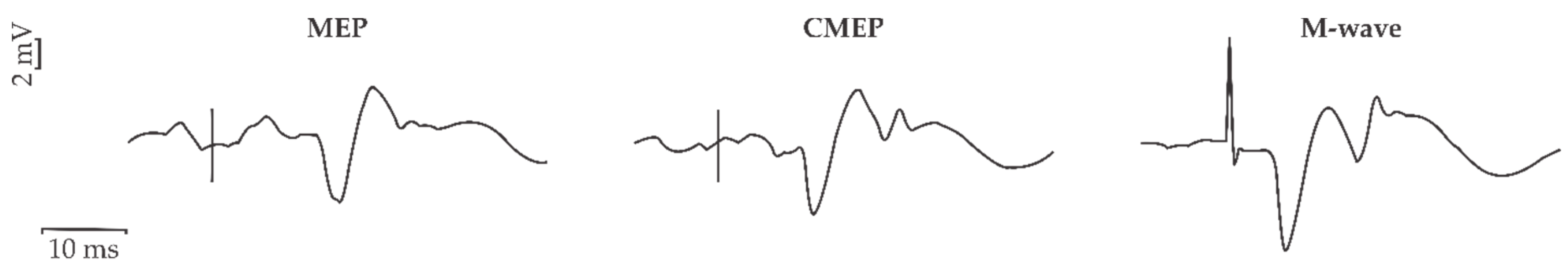 Brainsci 10 00033 g003