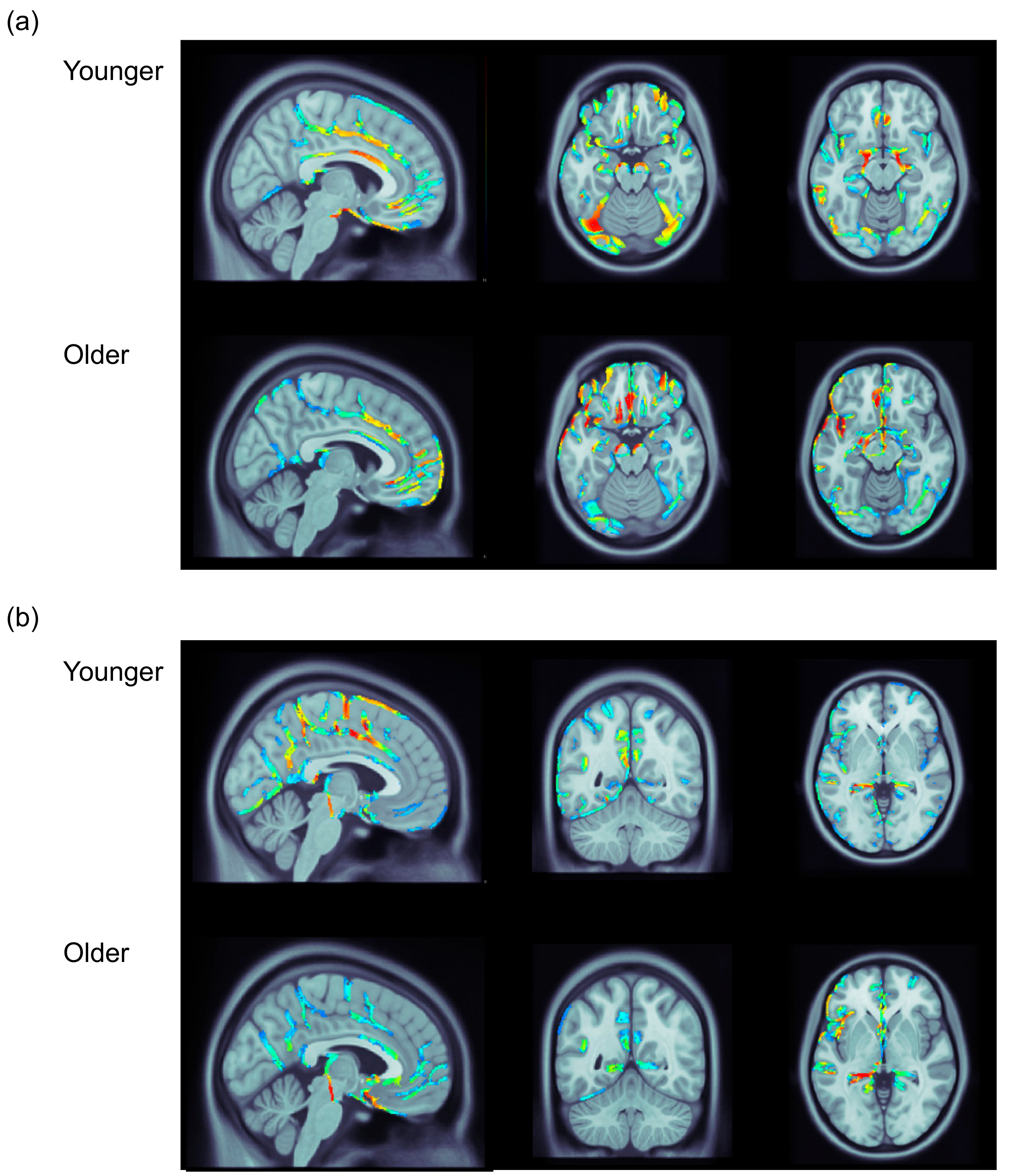 Brainsci 10 00040 g003 Brainsci 10 00040 g003