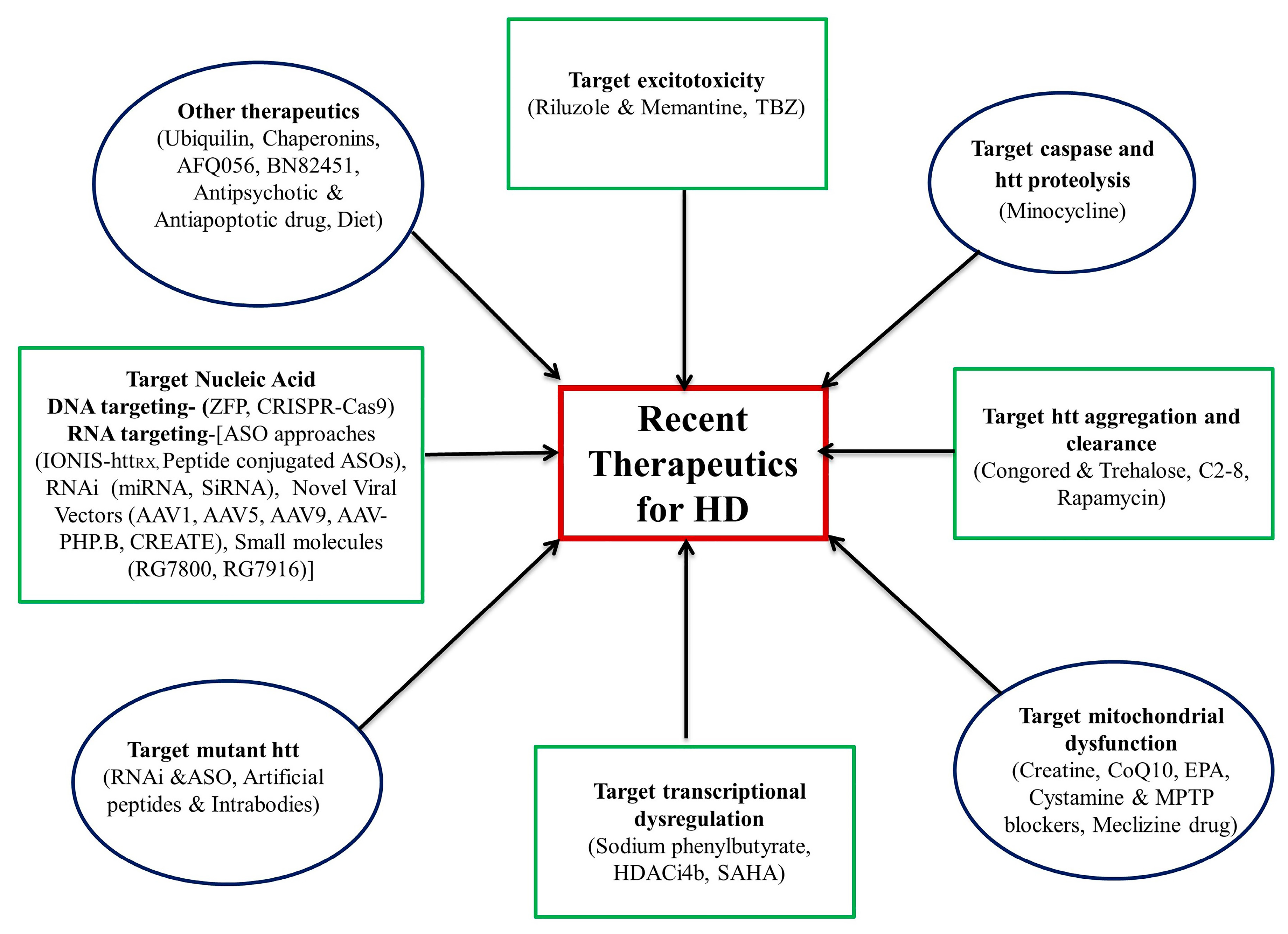 Brainsci 10 00043 g002