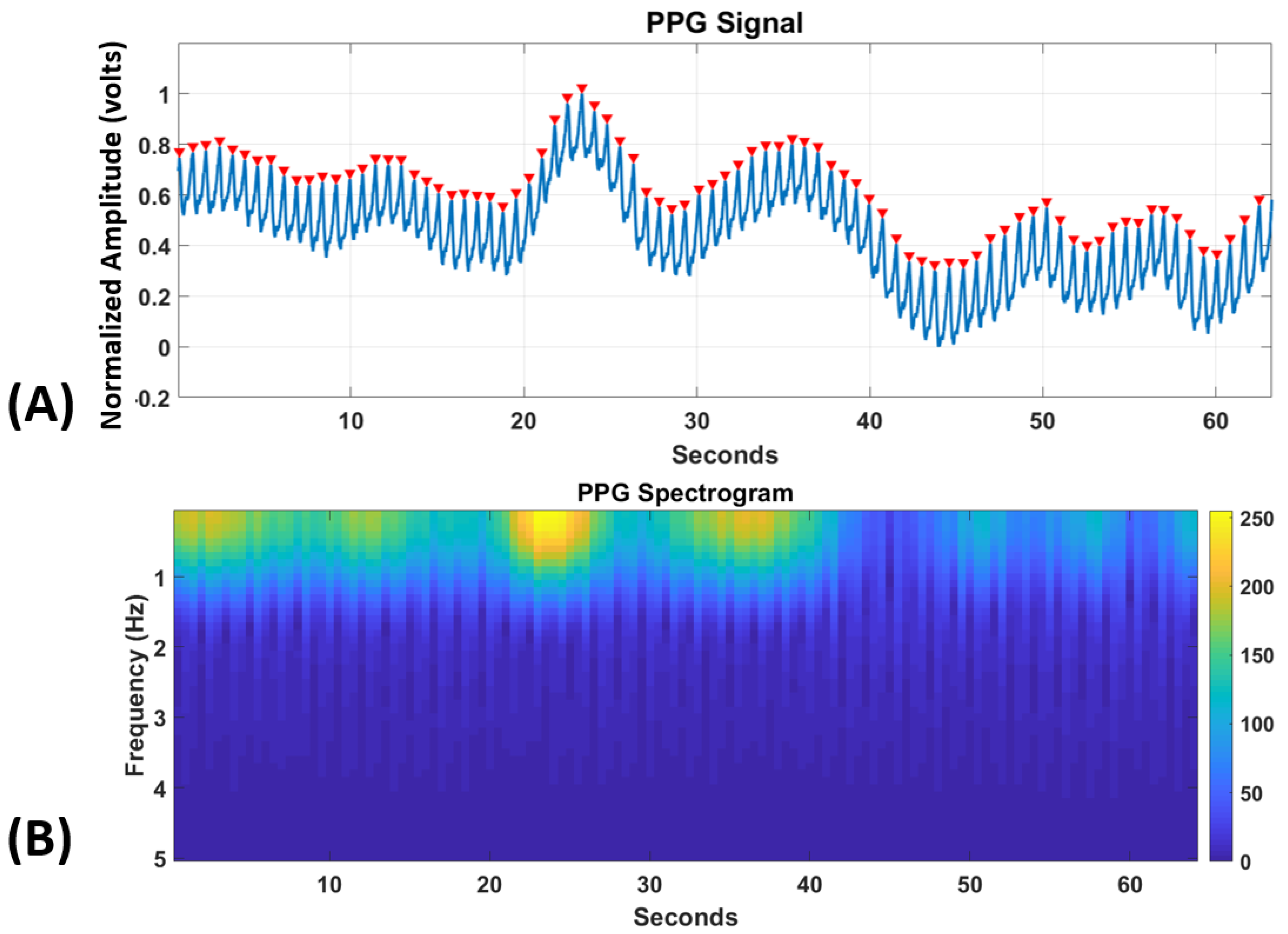 Brainsci 10 00046 g002
