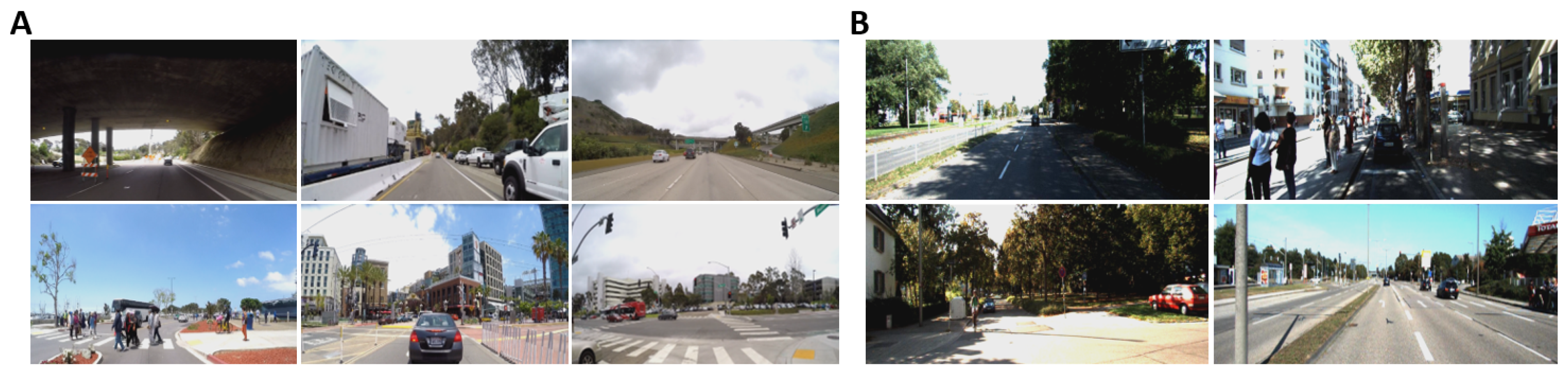 Brainsci 10 00046 g006