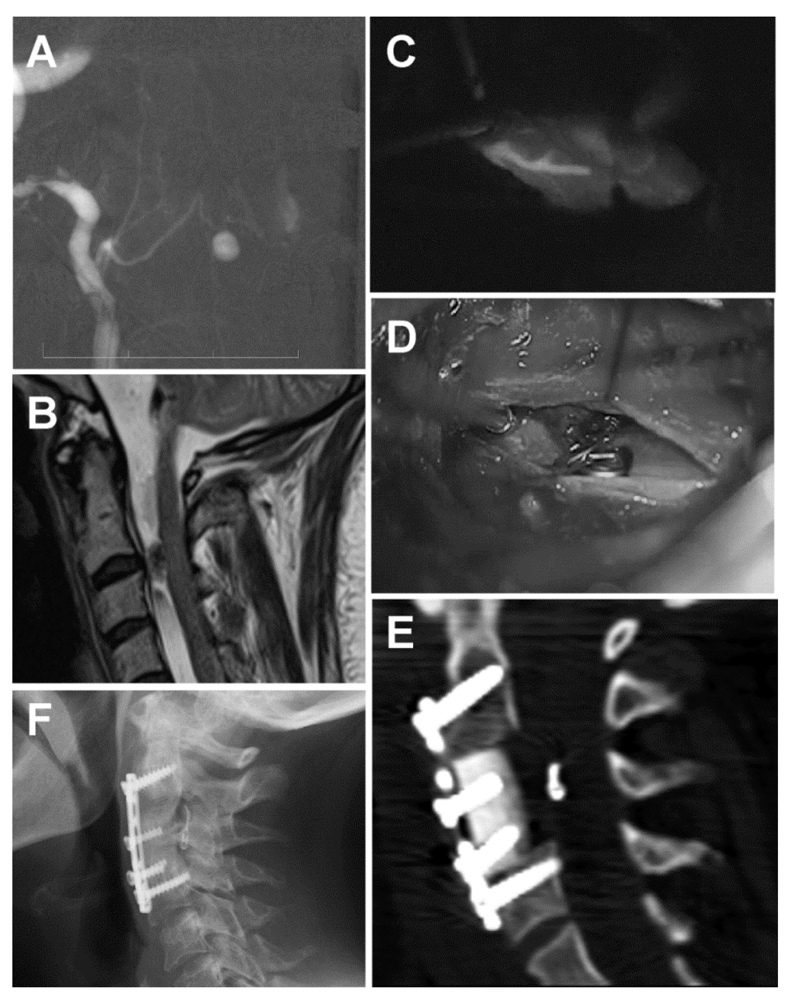 Brainsci 10 00070 g002 Brainsci 10 00070 g002