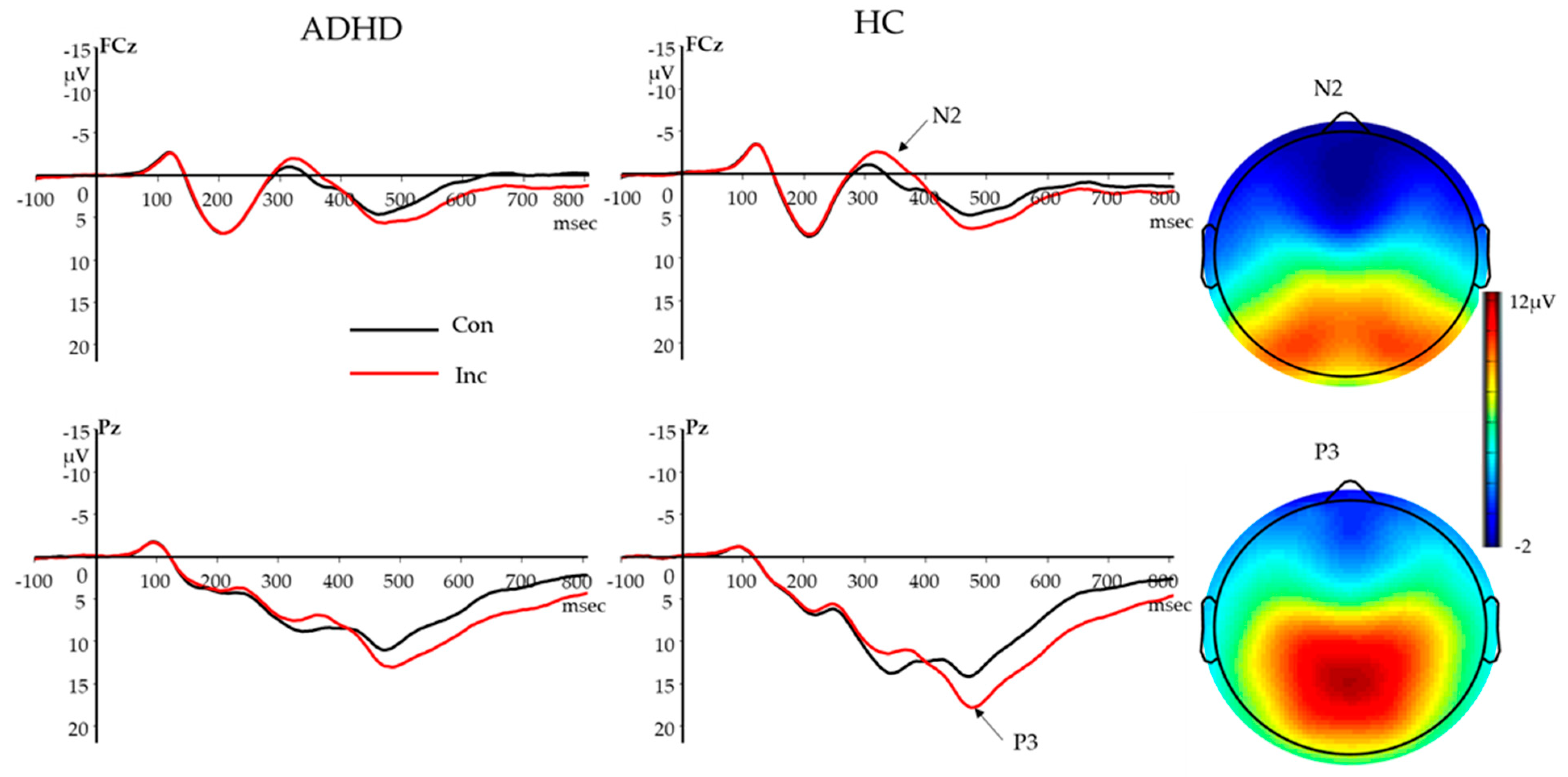 Brainsci 10 00079 g002