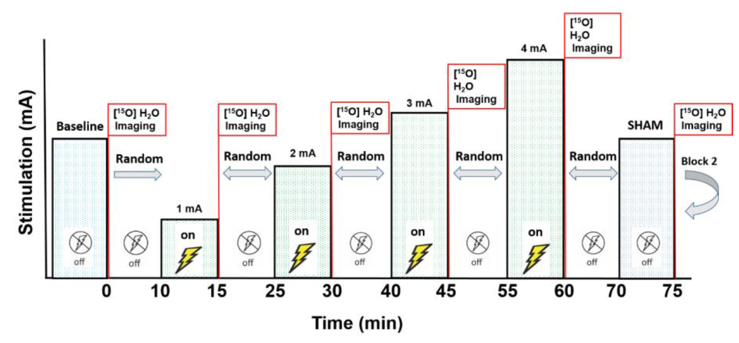Brainsci 10 00082 g001 Brainsci 10 00082 g001