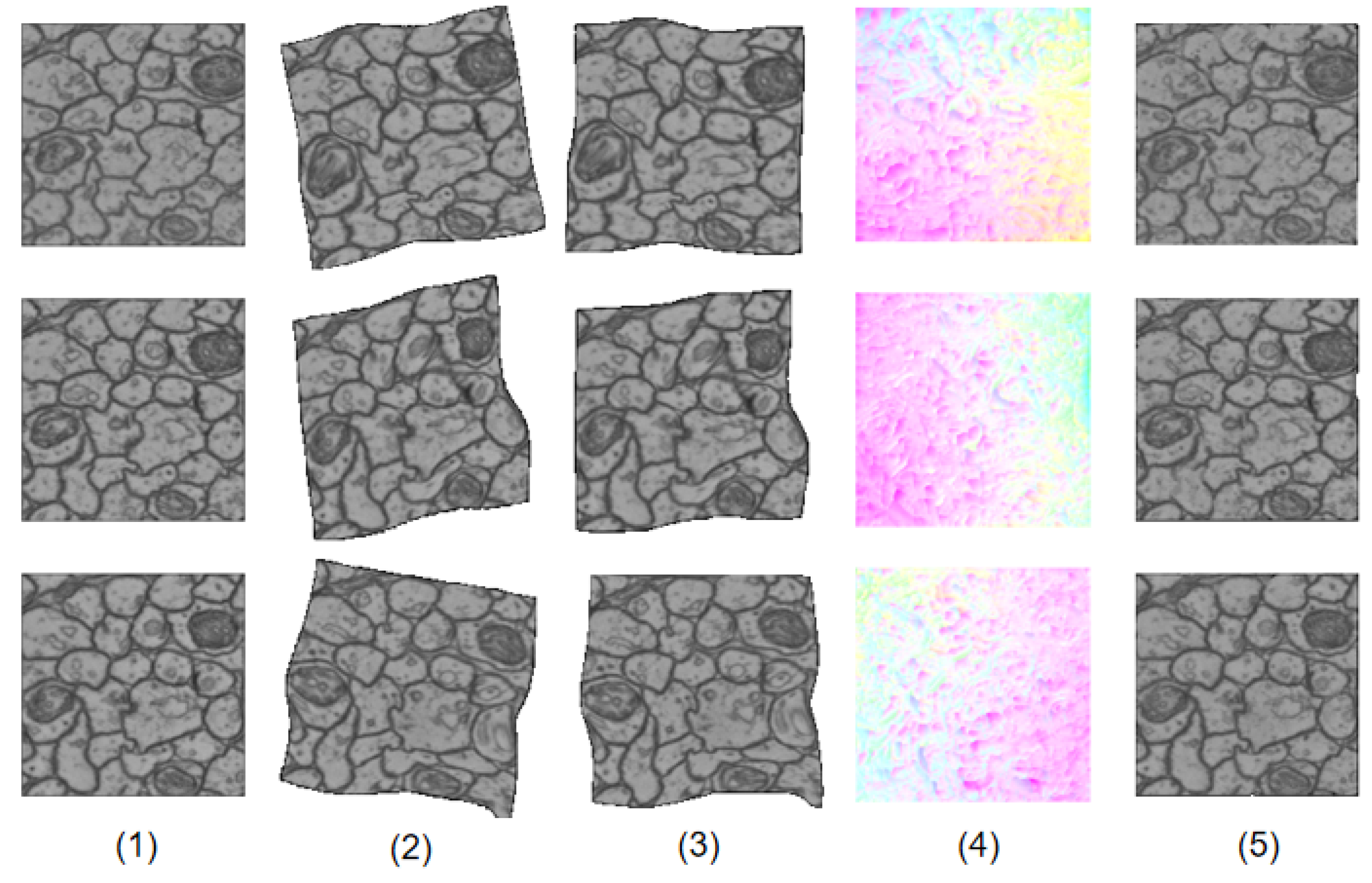 Brainsci 10 00086 g003