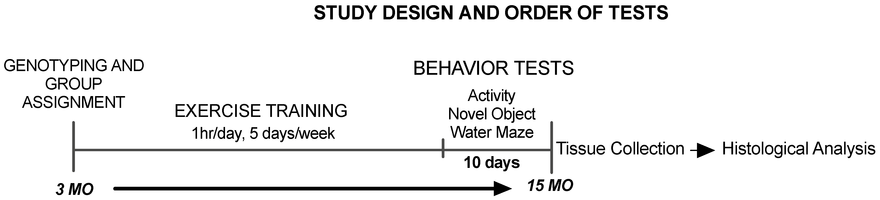 Brainsci 10 00088 g001