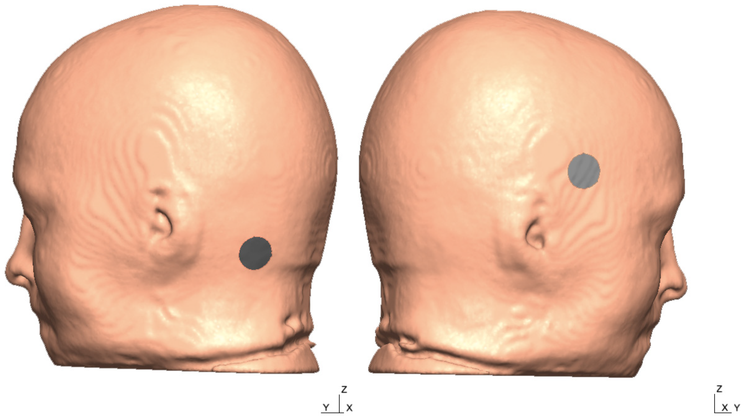 Brainsci 10 00094 g0a1 Brainsci 10 00094 g0a1