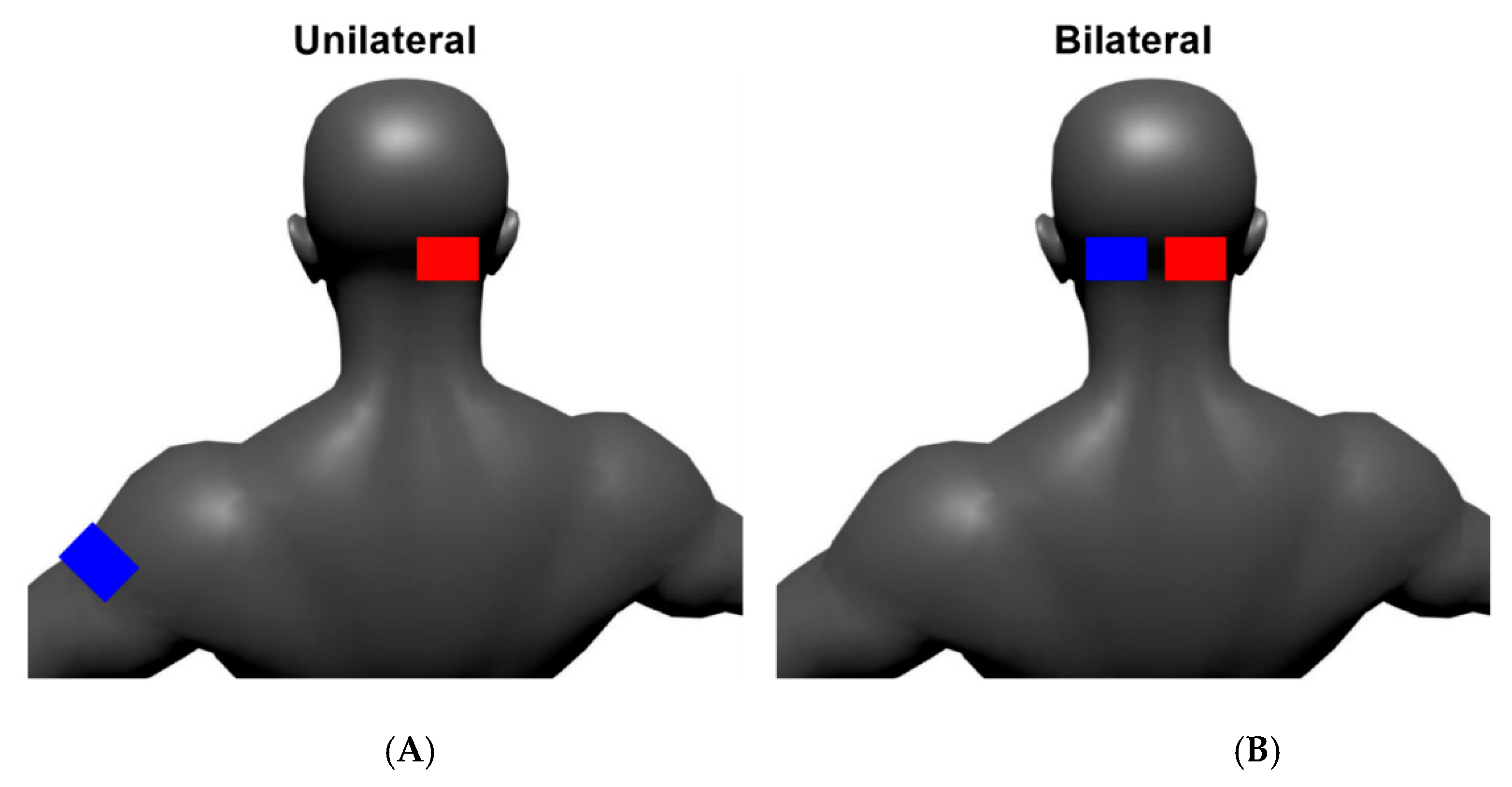 Brainsci 10 00096 g001 Brainsci 10 00096 g001