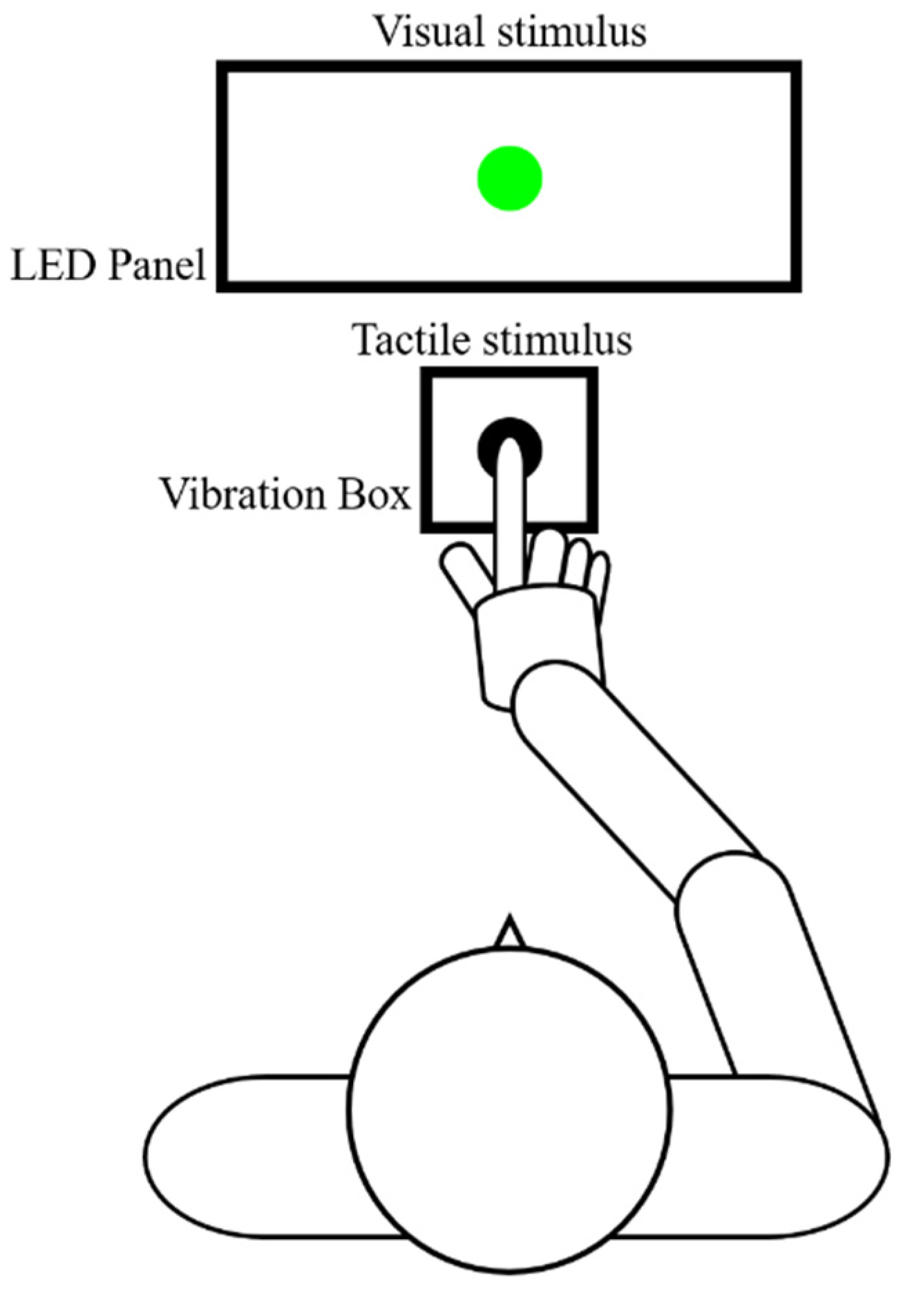 Brainsci 10 00100 g001