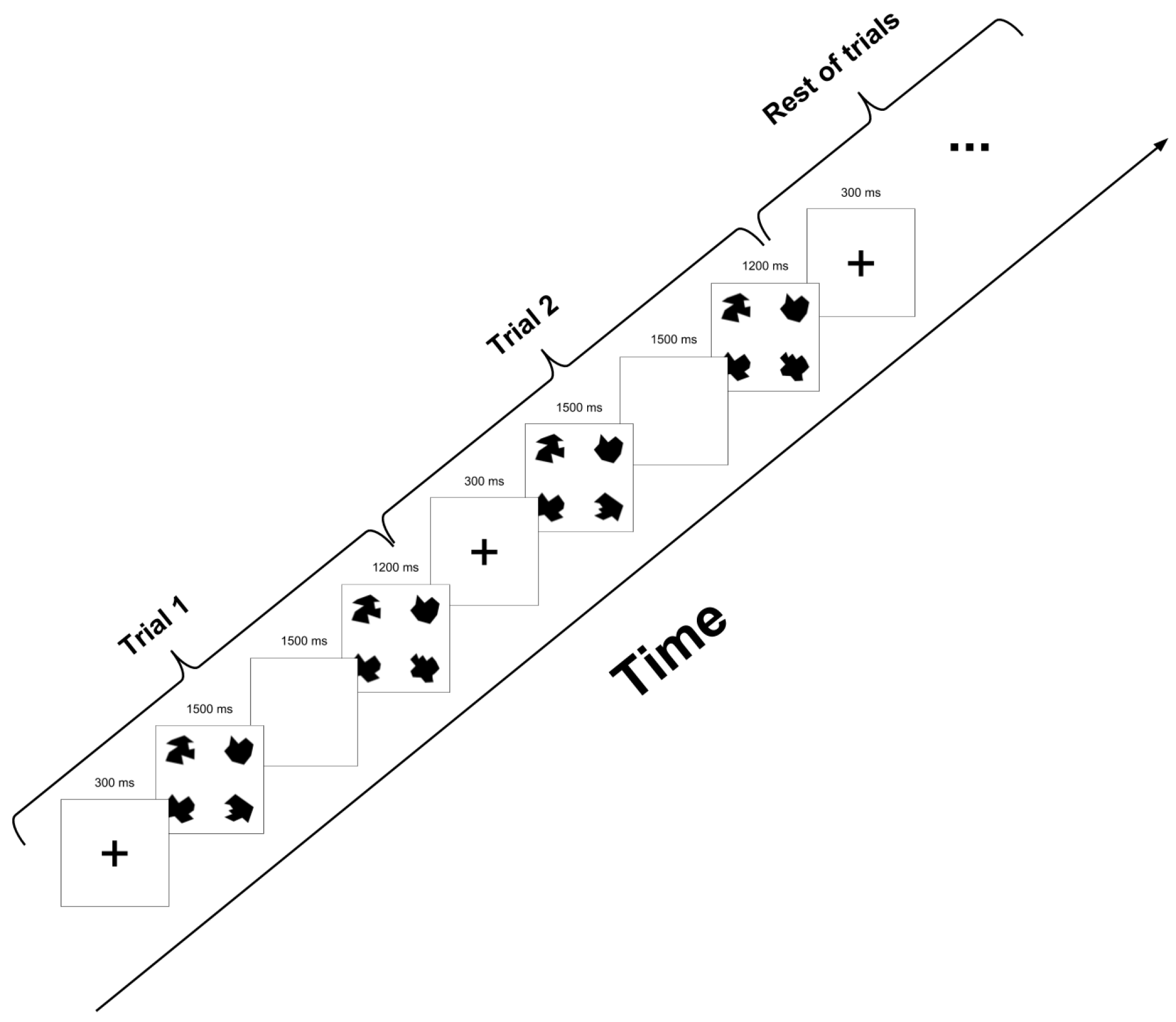 Brainsci 10 00114 g001