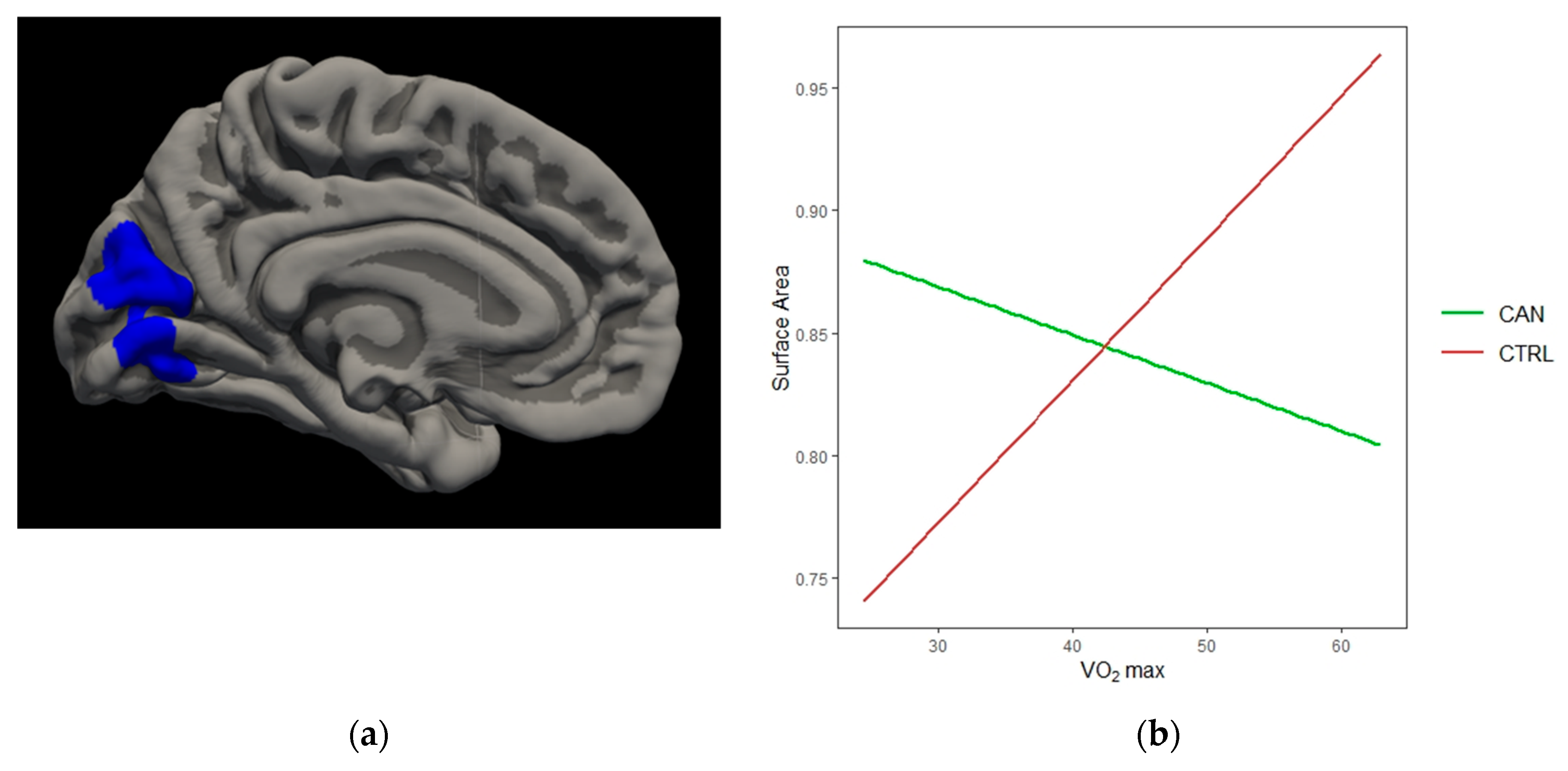 Brainsci 10 00117 g004a