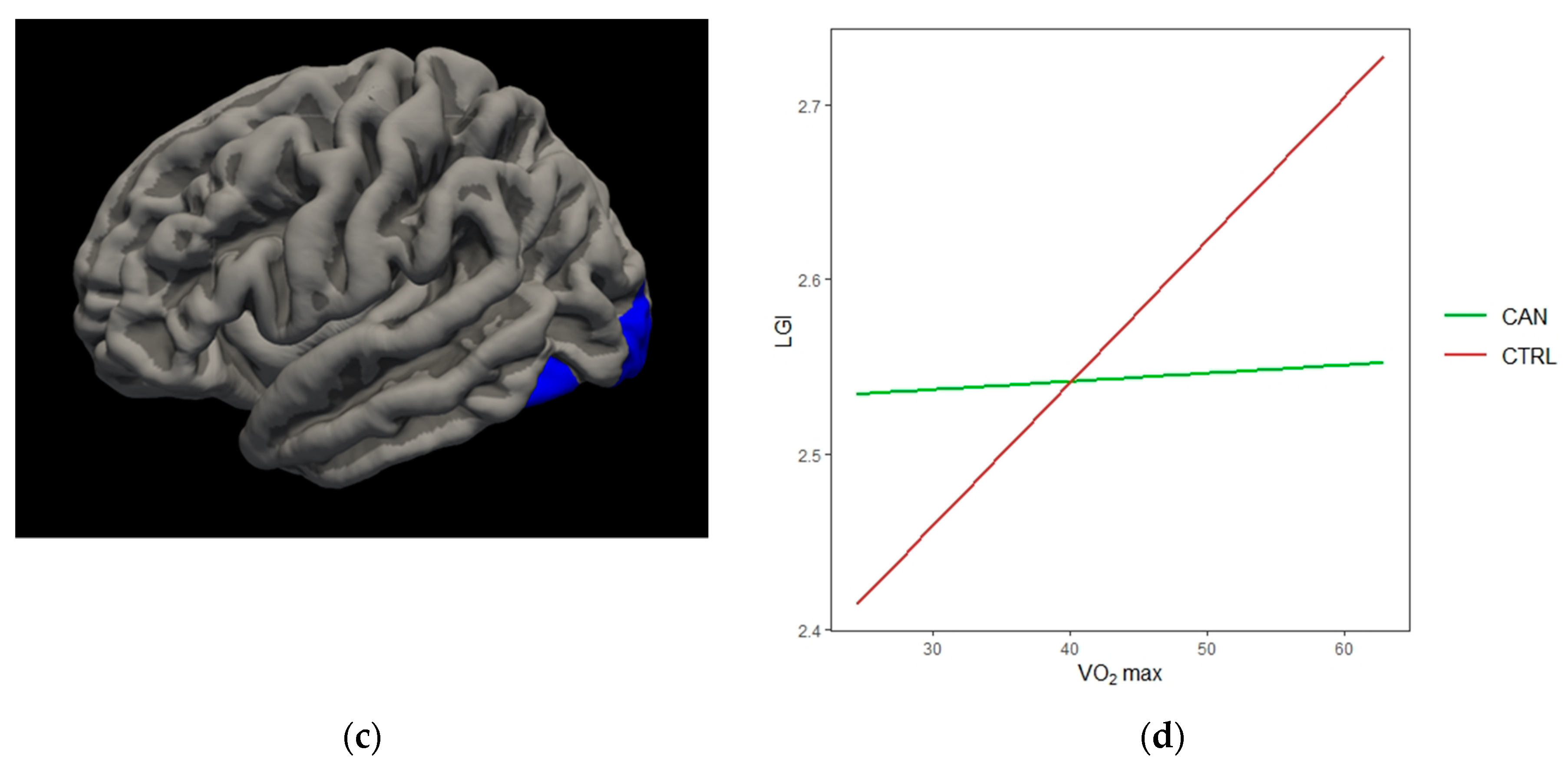 Brainsci 10 00117 g004b