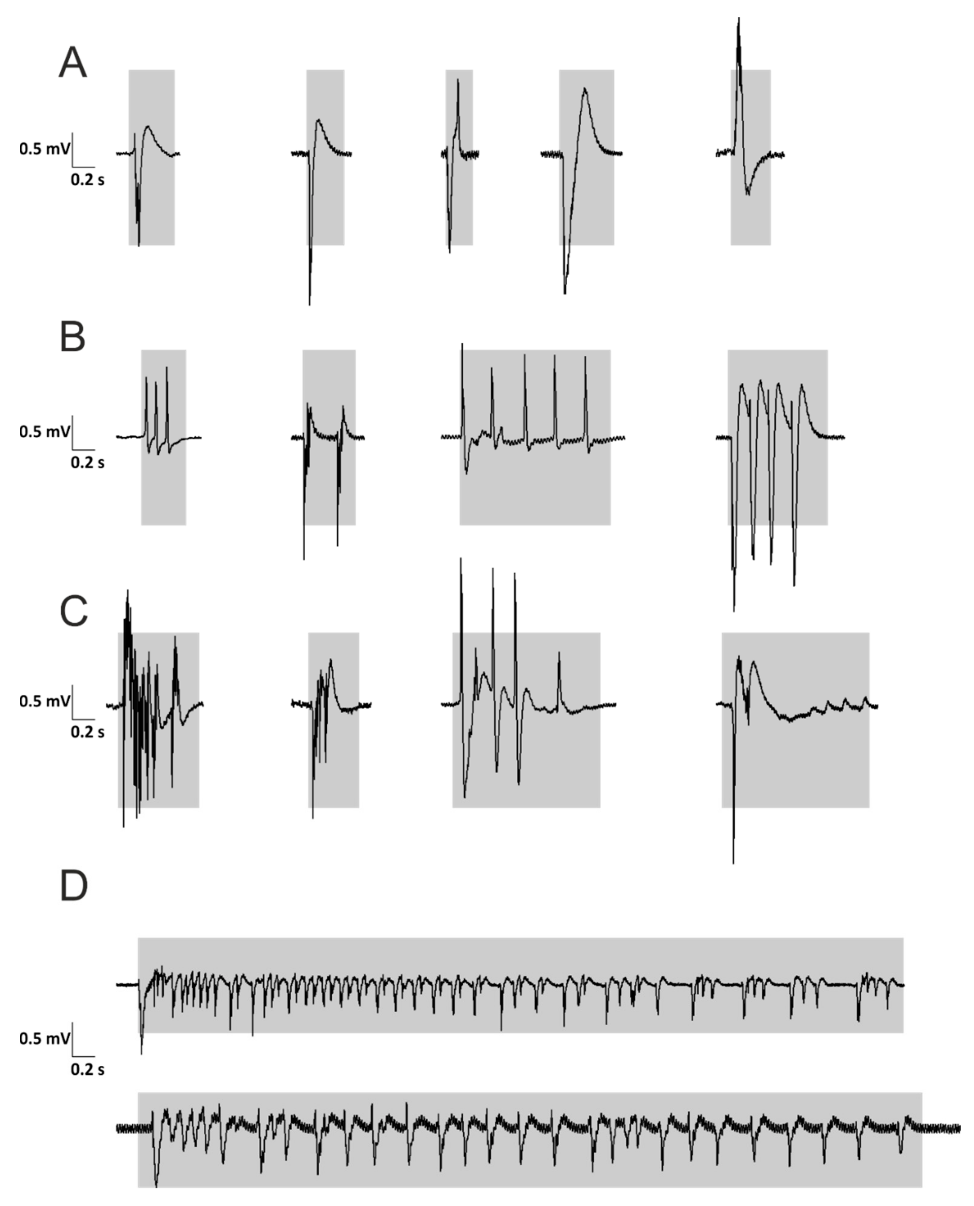 Brainsci 10 00123 g002 Brainsci 10 00123 g002