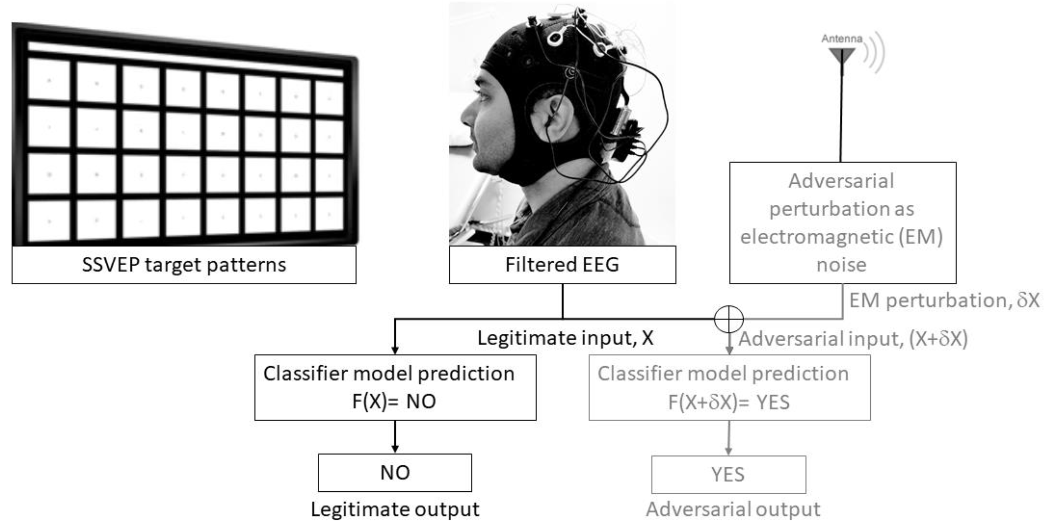 Brainsci 10 00139 g001