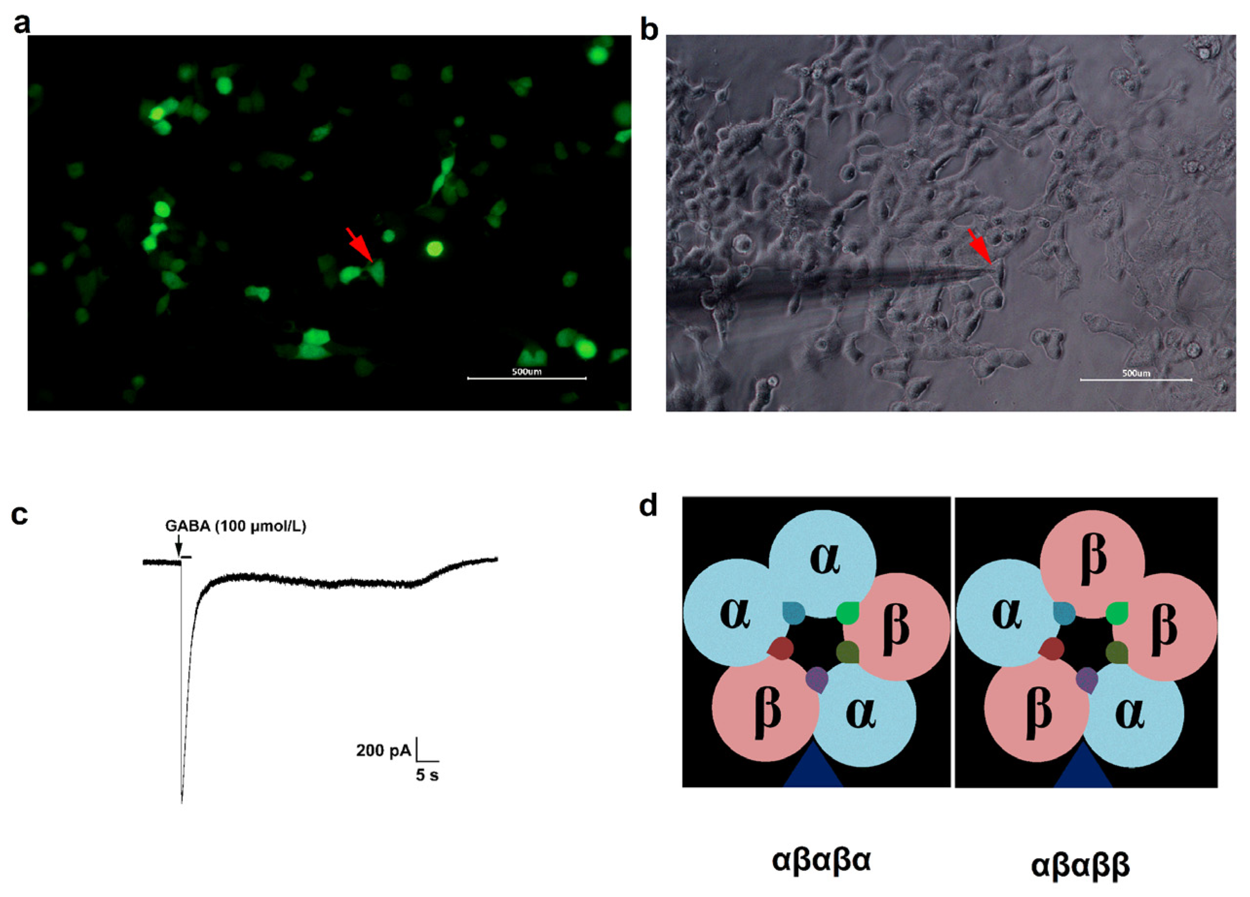 Brainsci 10 00150 g001 Brainsci 10 00150 g001