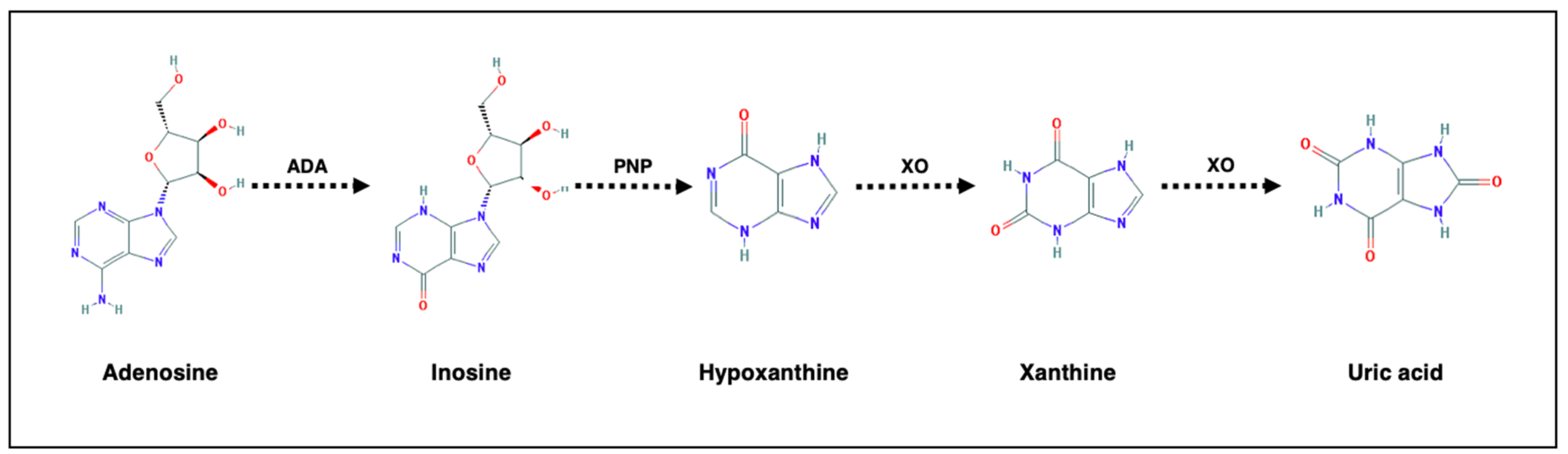 Brainsci 10 00160 g001 Brainsci 10 00160 g001