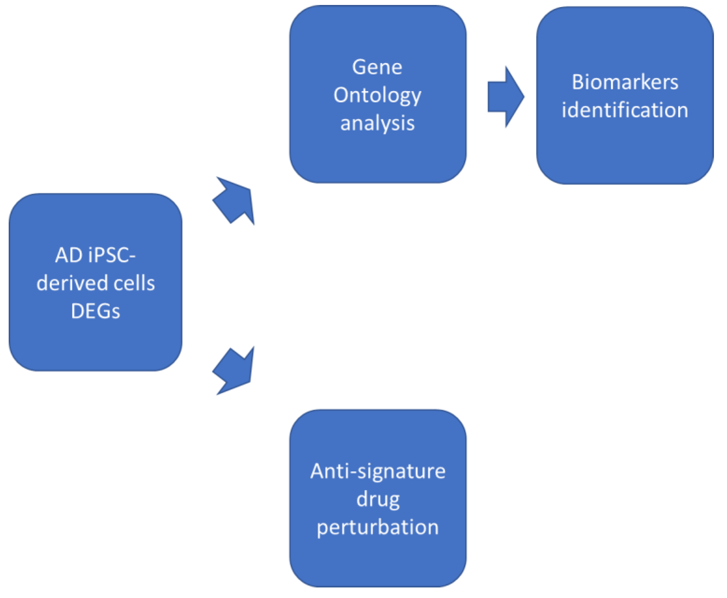 Brainsci 10 00166 g001