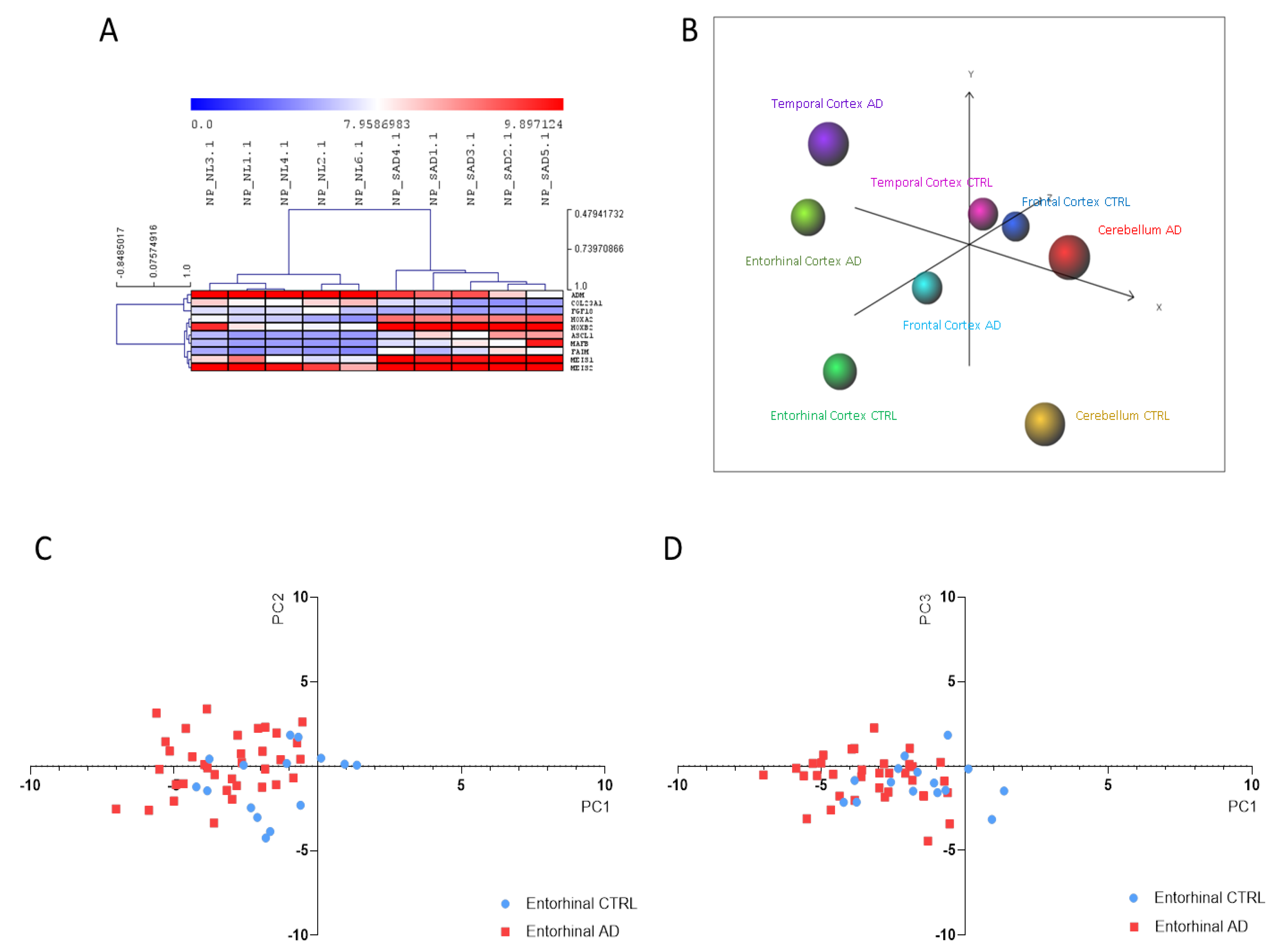 Brainsci 10 00166 g003