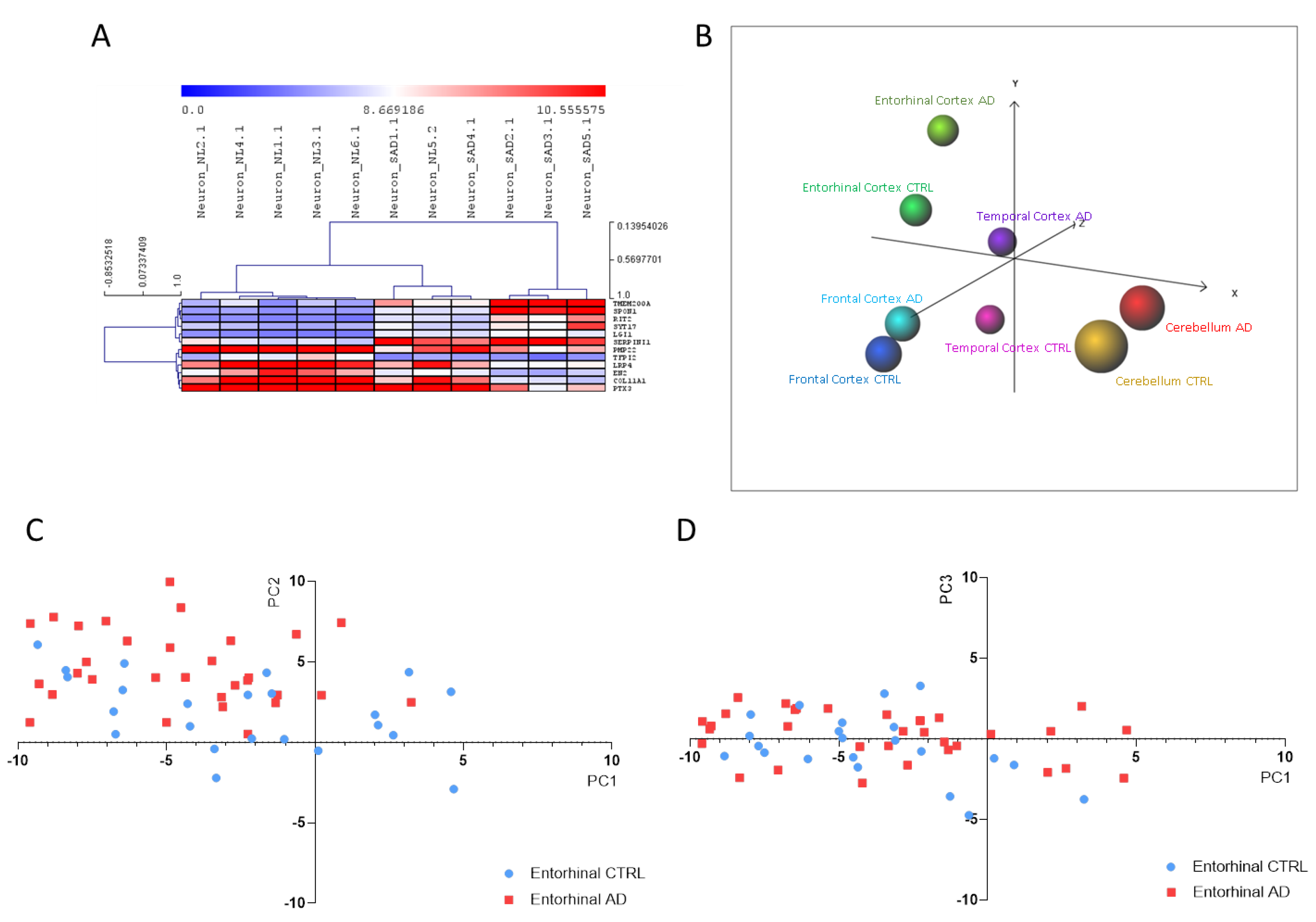 Brainsci 10 00166 g004