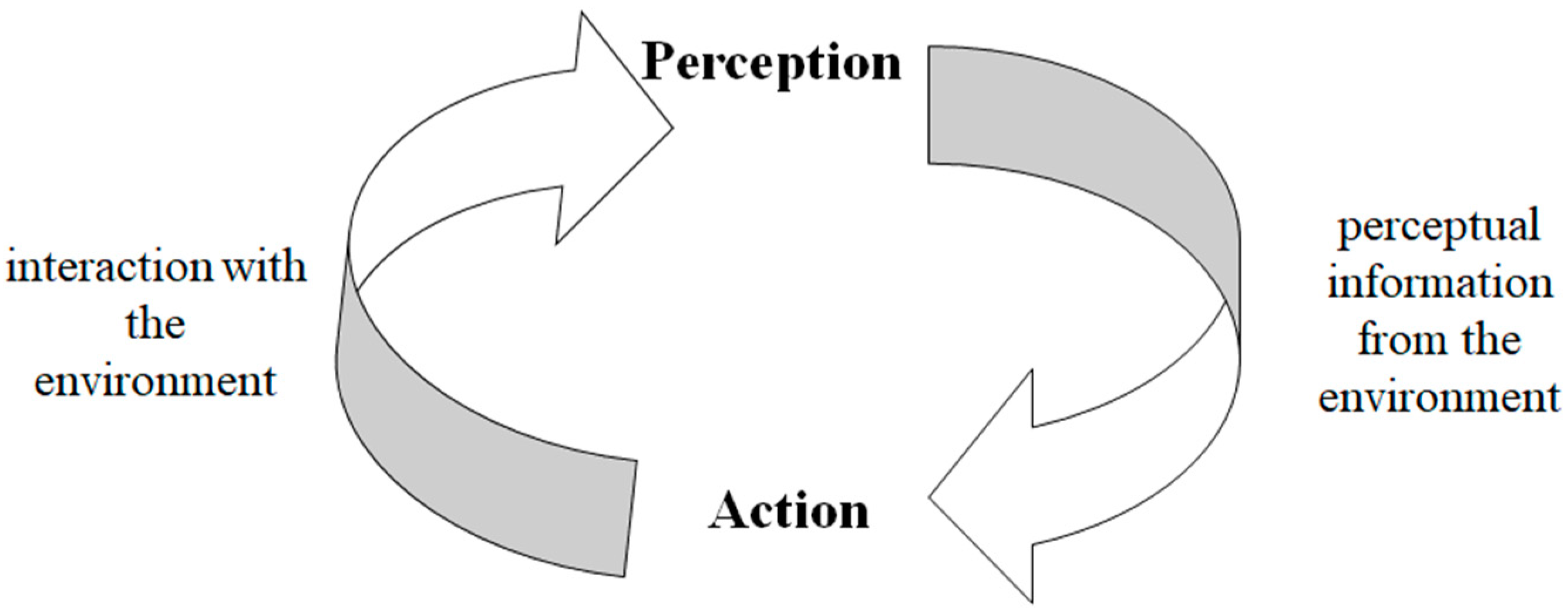 A diagram with an arrow pointing both ways best describes the relationship between perception and action. This chart shows data provided in the figure caption