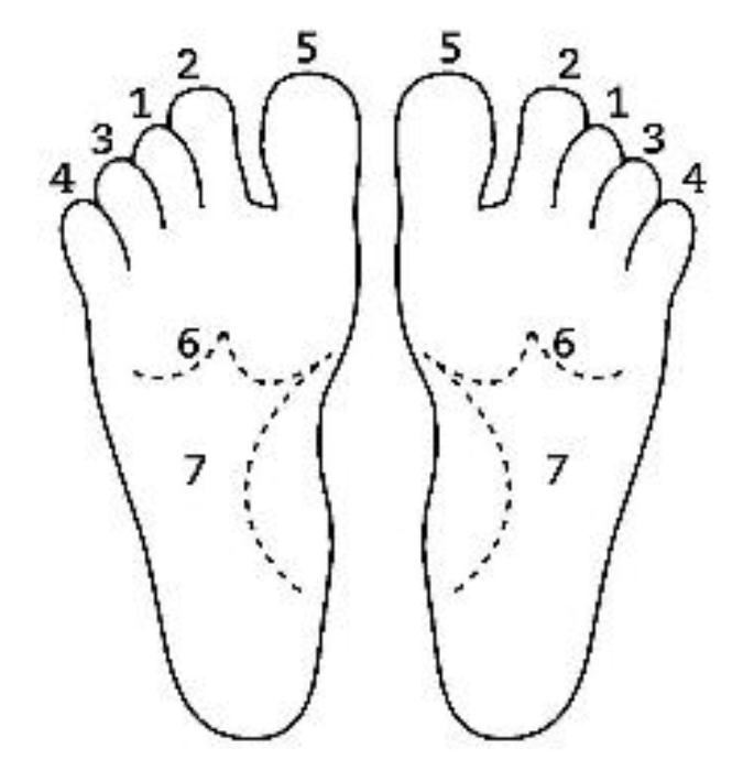 Brainsci 10 00182 g002