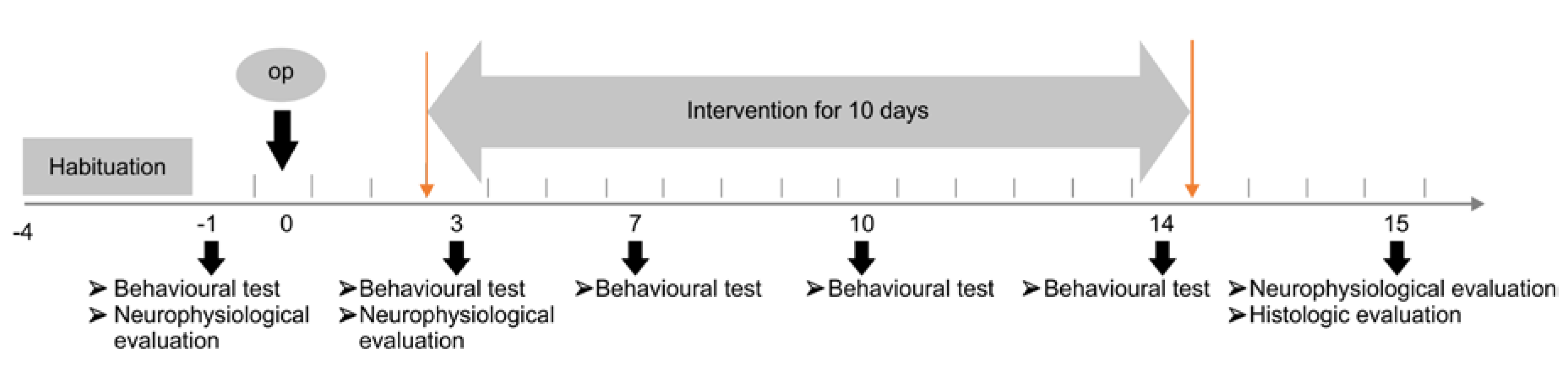 Brainsci 10 00186 g001 Brainsci 10 00186 g001