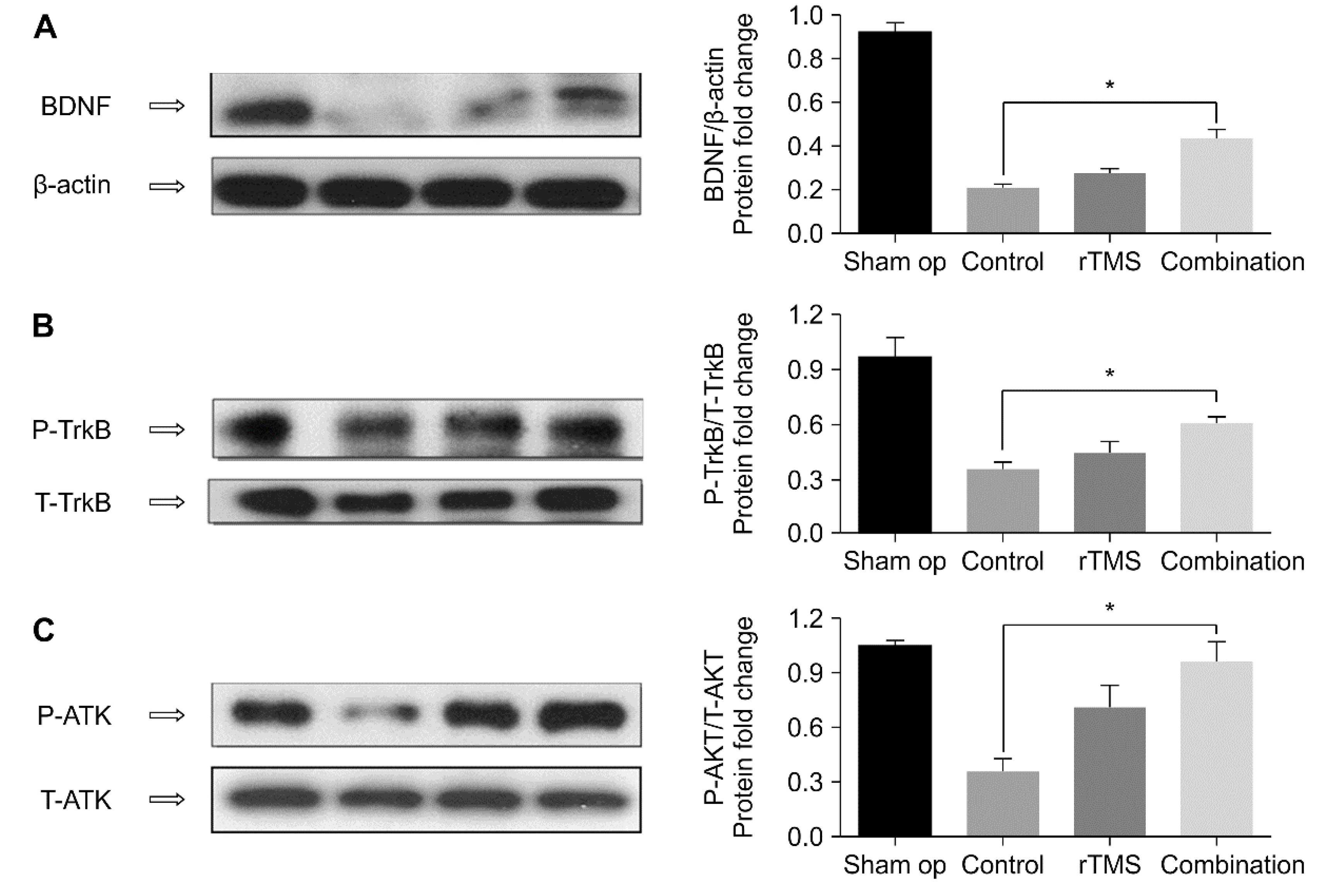 Brainsci 10 00186 g007 Brainsci 10 00186 g007