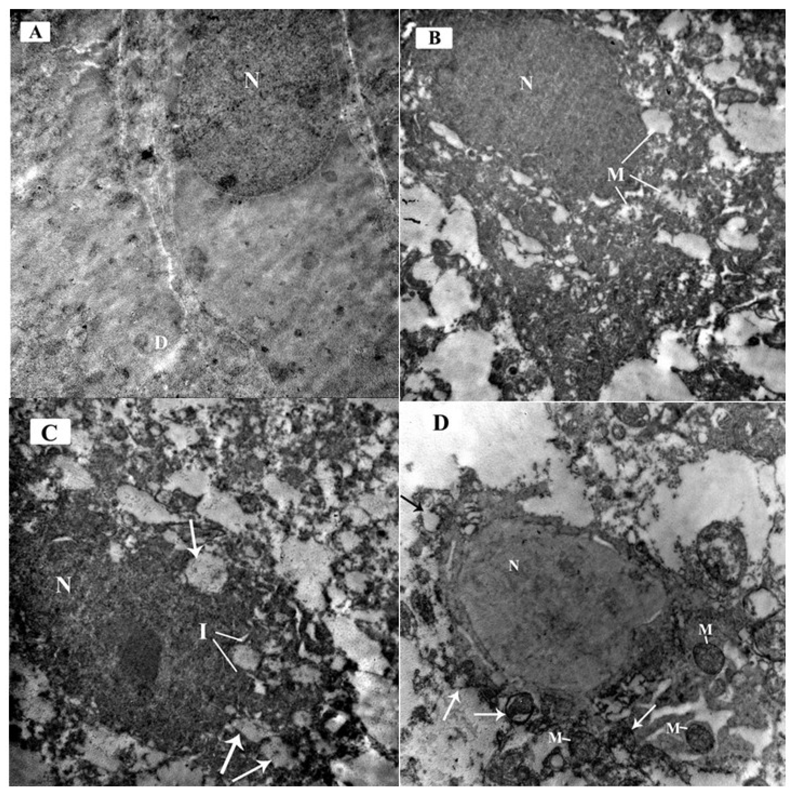 Brainsci 10 00193 g010