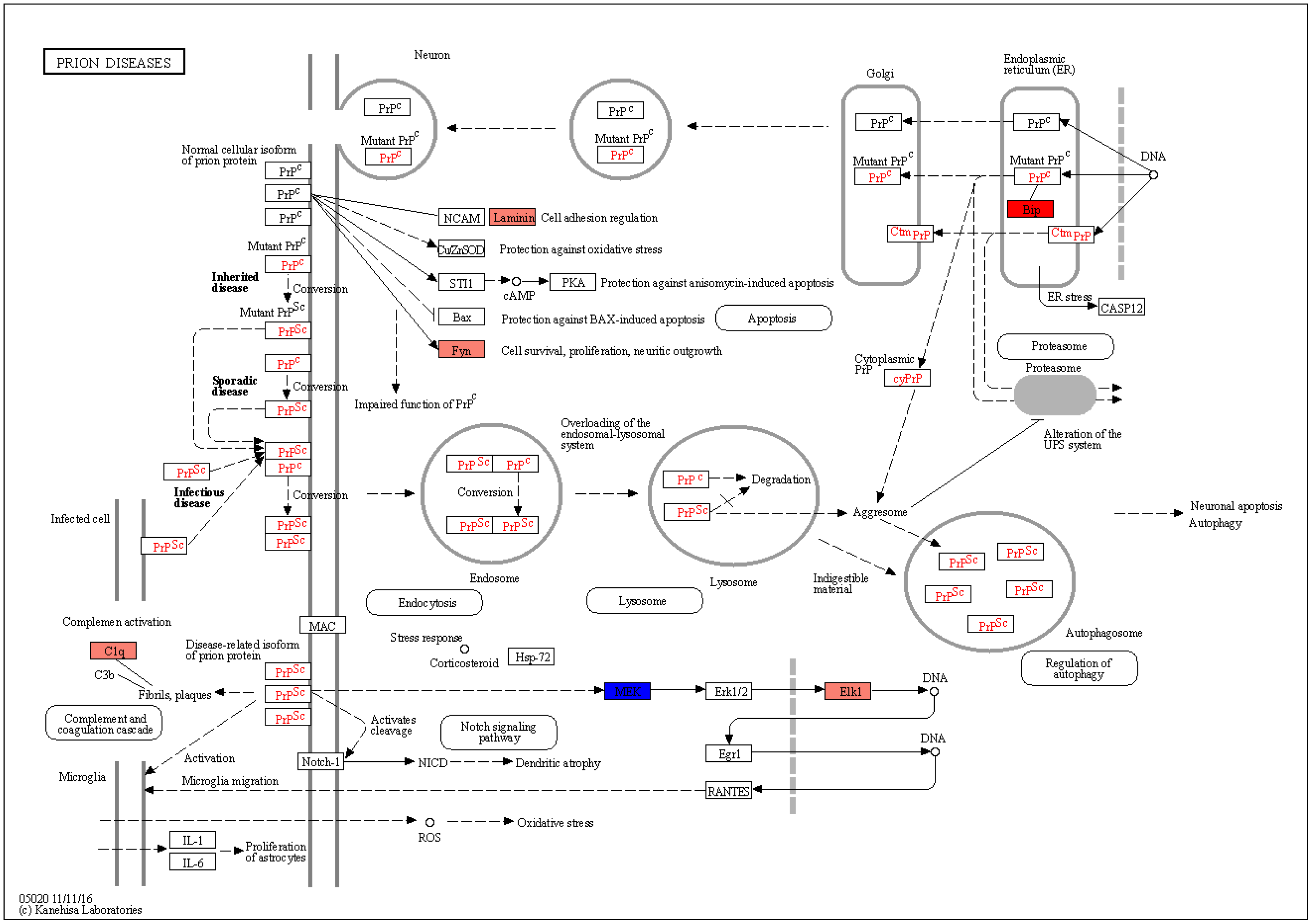 Brainsci 10 00200 g002 Brainsci 10 00200 g002