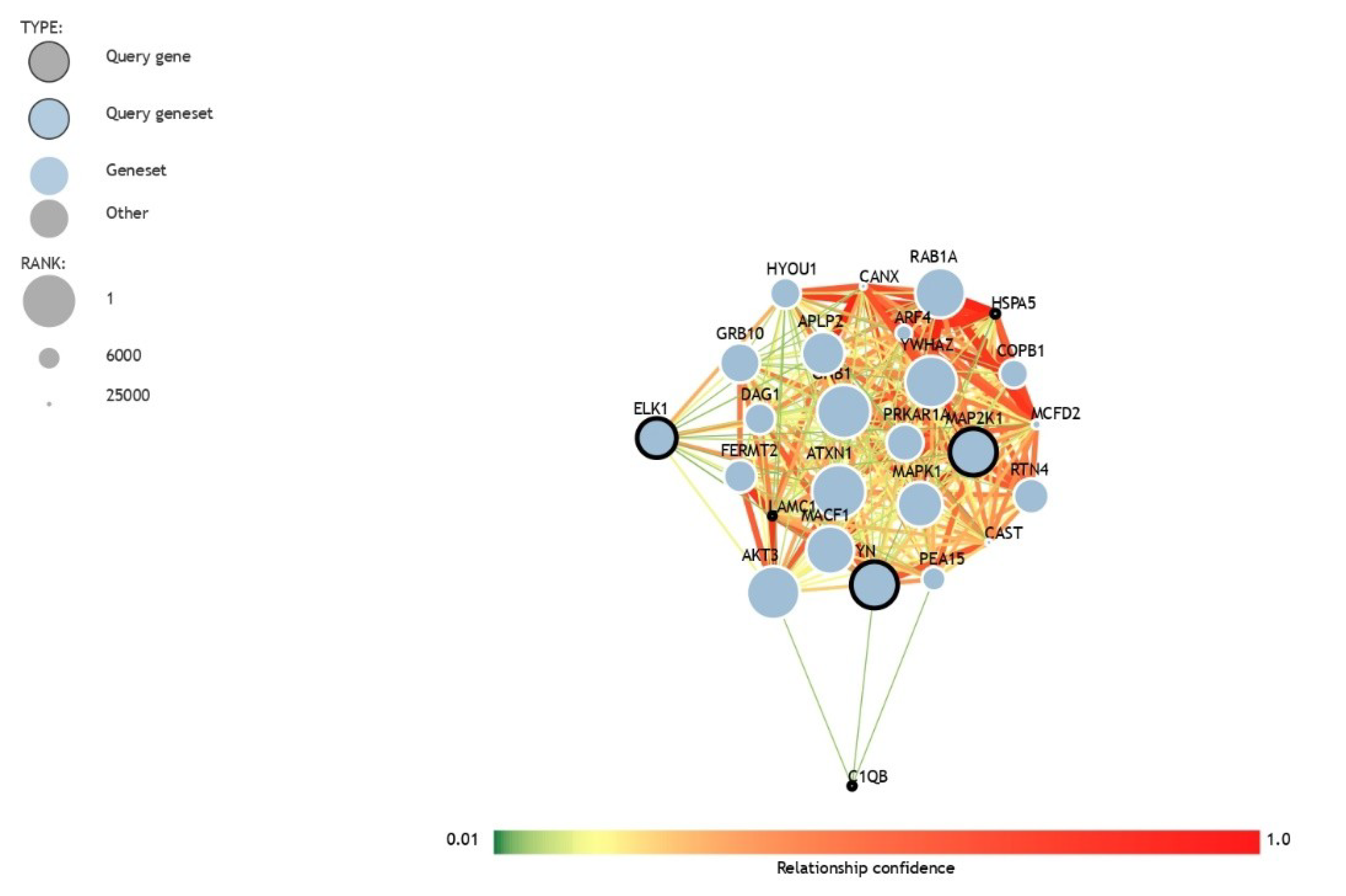 Brainsci 10 00200 g004 Brainsci 10 00200 g004