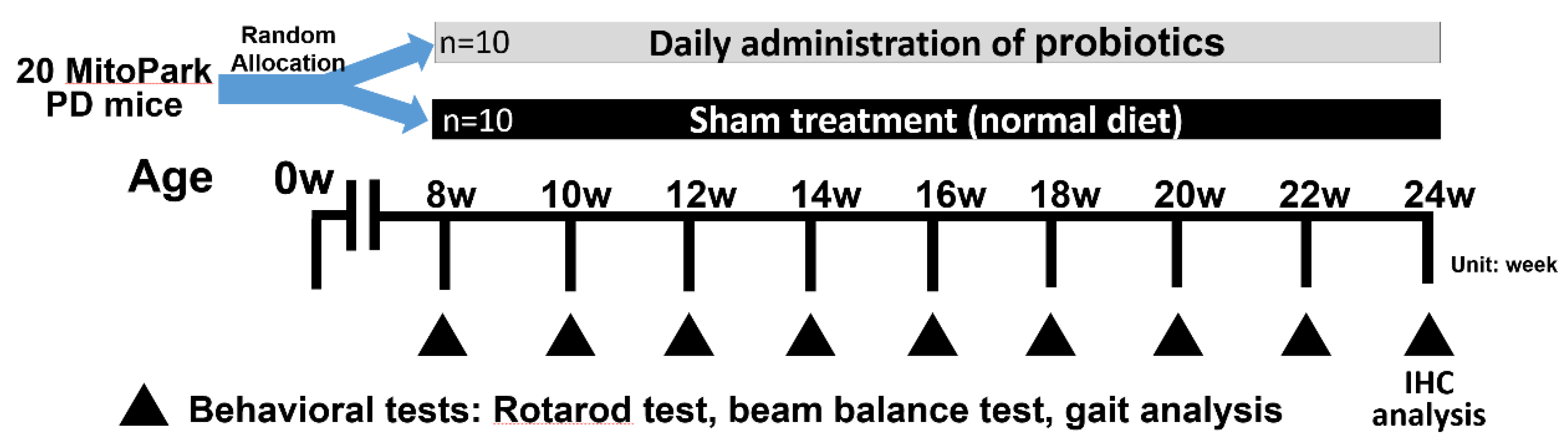 Brainsci 10 00206 g001