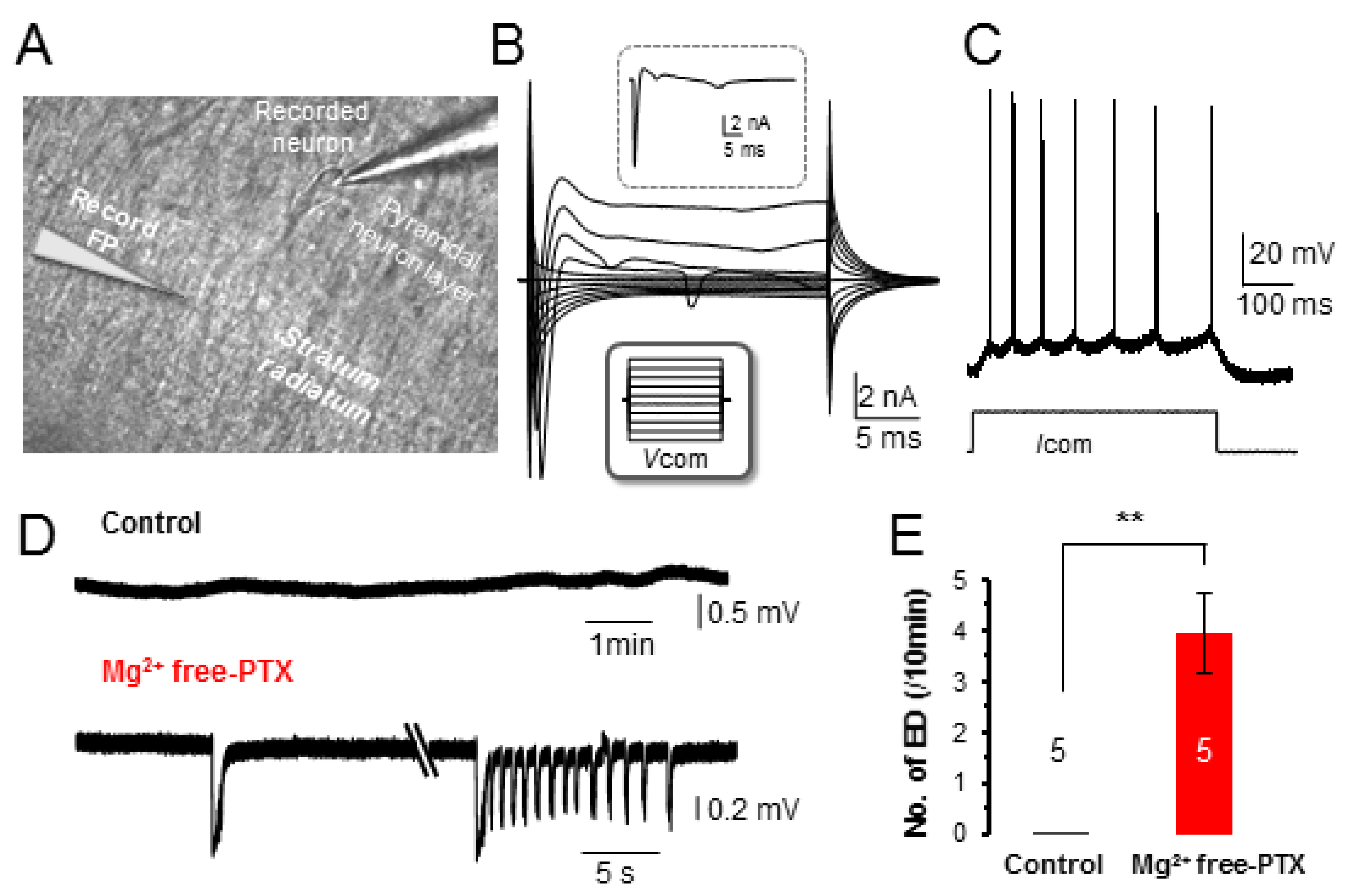 Brainsci 10 00208 g001a