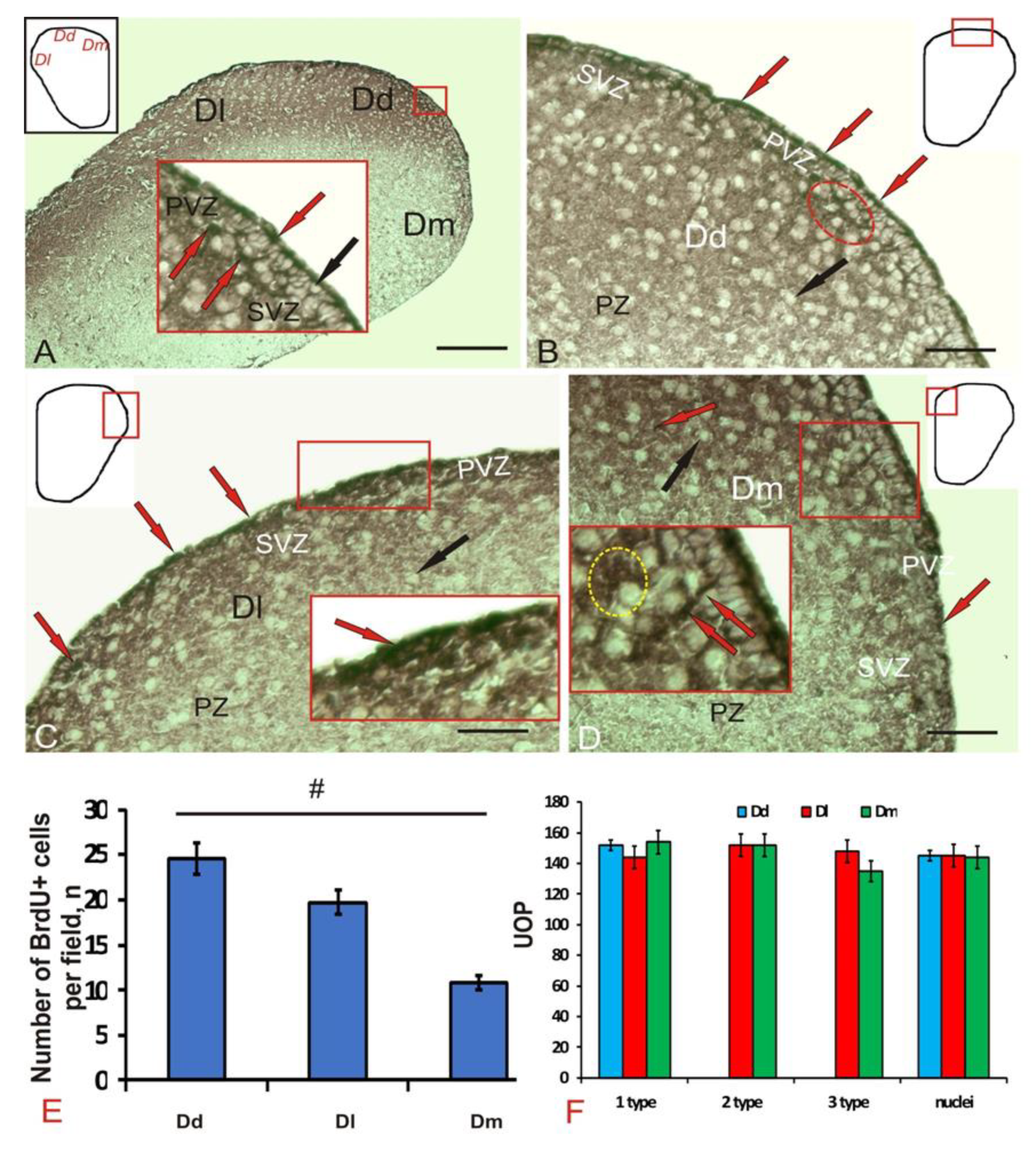 Brainsci 10 00222 g001 Brainsci 10 00222 g001